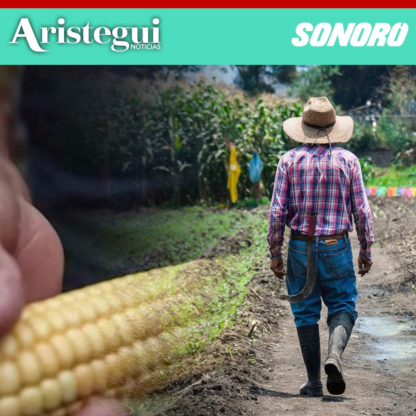Entrevista: Productores evitan denunciar 'impuesto criminal' por temor a represalias, señala UNTA