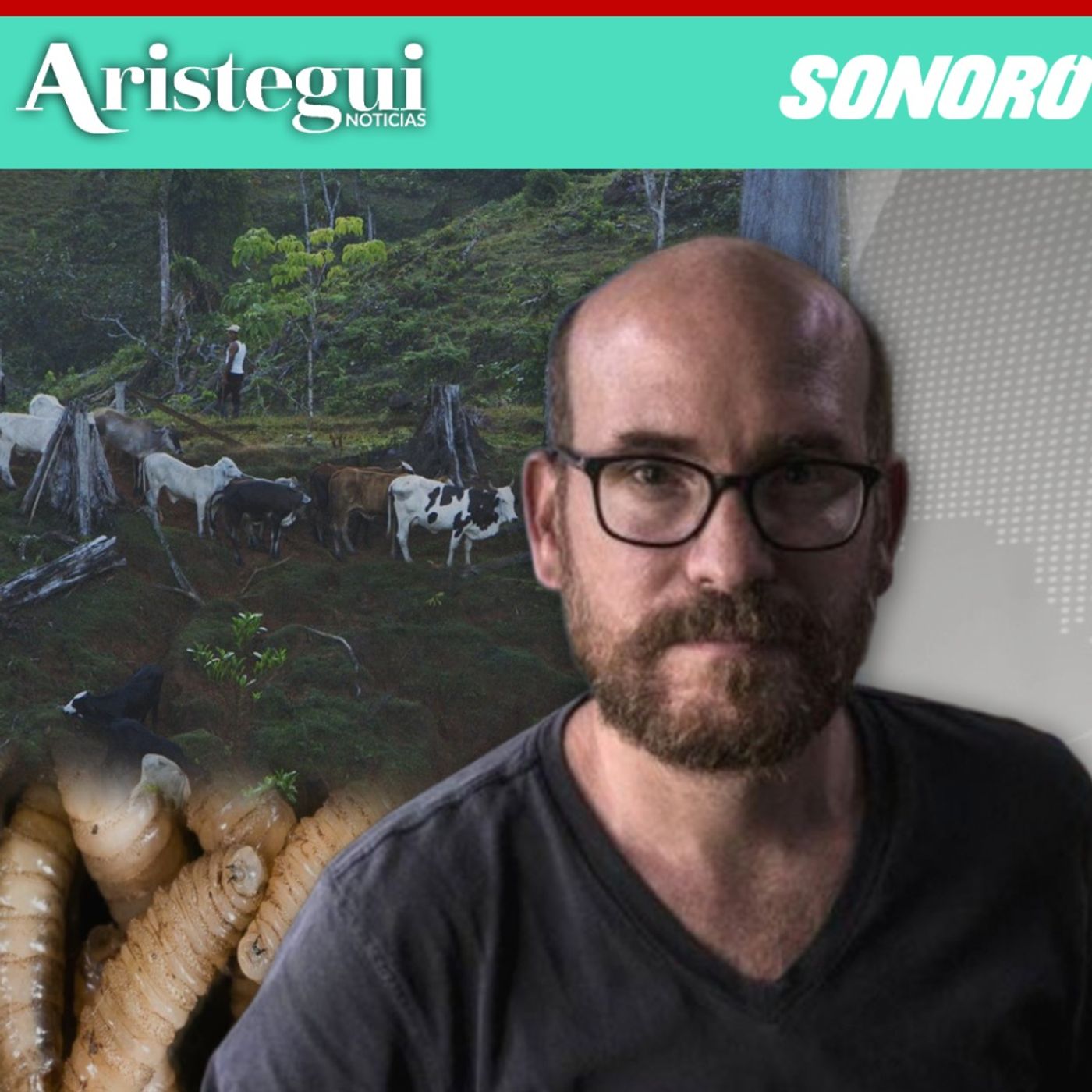 Entrevista: Ganado ilegal devasta bosques y se vende en mercados mexicanos: Camilo de Castro