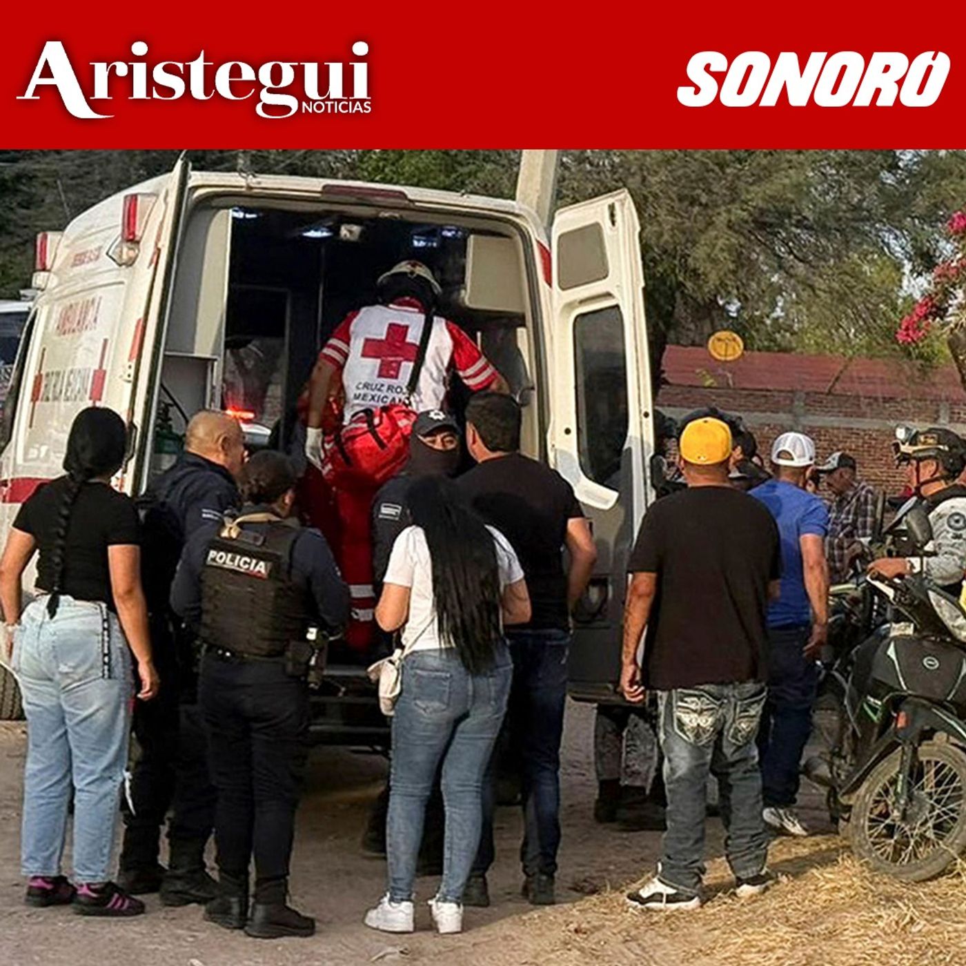 Matan a 11 personas en comunidad de Salamanca, Indigna asesinato de Alex Pretti - Resumen Diario