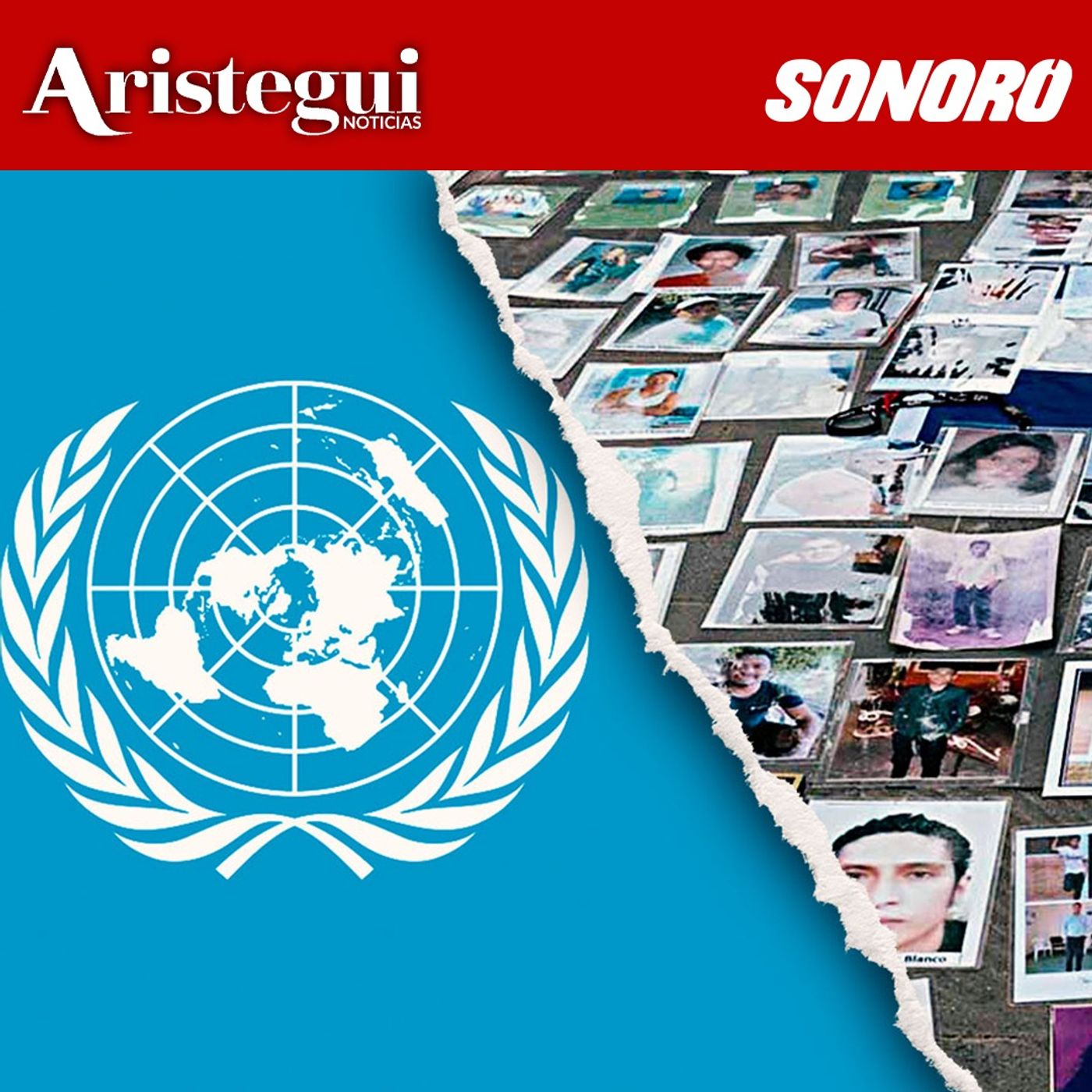 ONU avanza en procedimiento por desapariciones forzadas en México, CED anunciará acciones - Resumen Diario