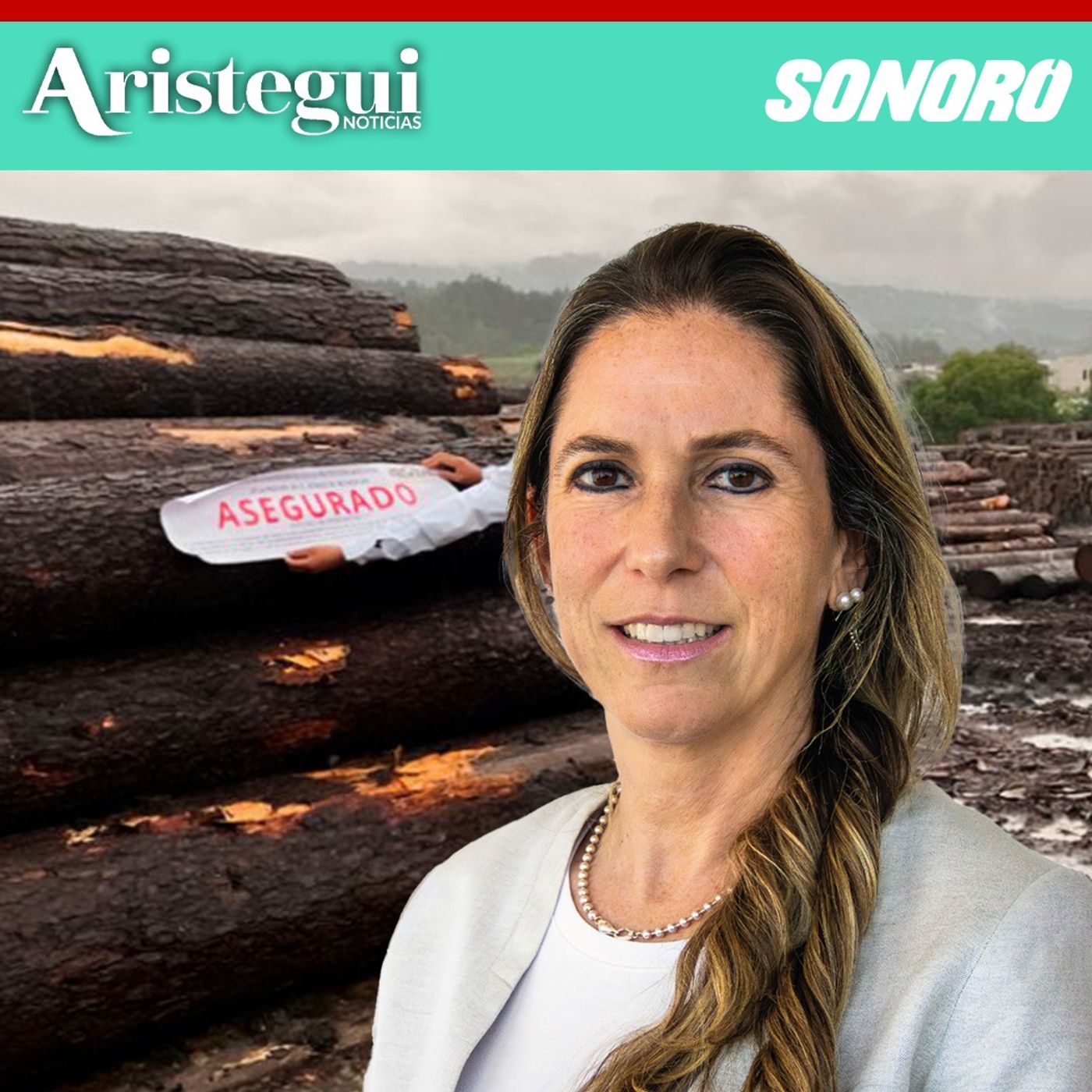 Entrevista: Tala ilegal avanza en México y se relaciona con crimen organizado: Profepa