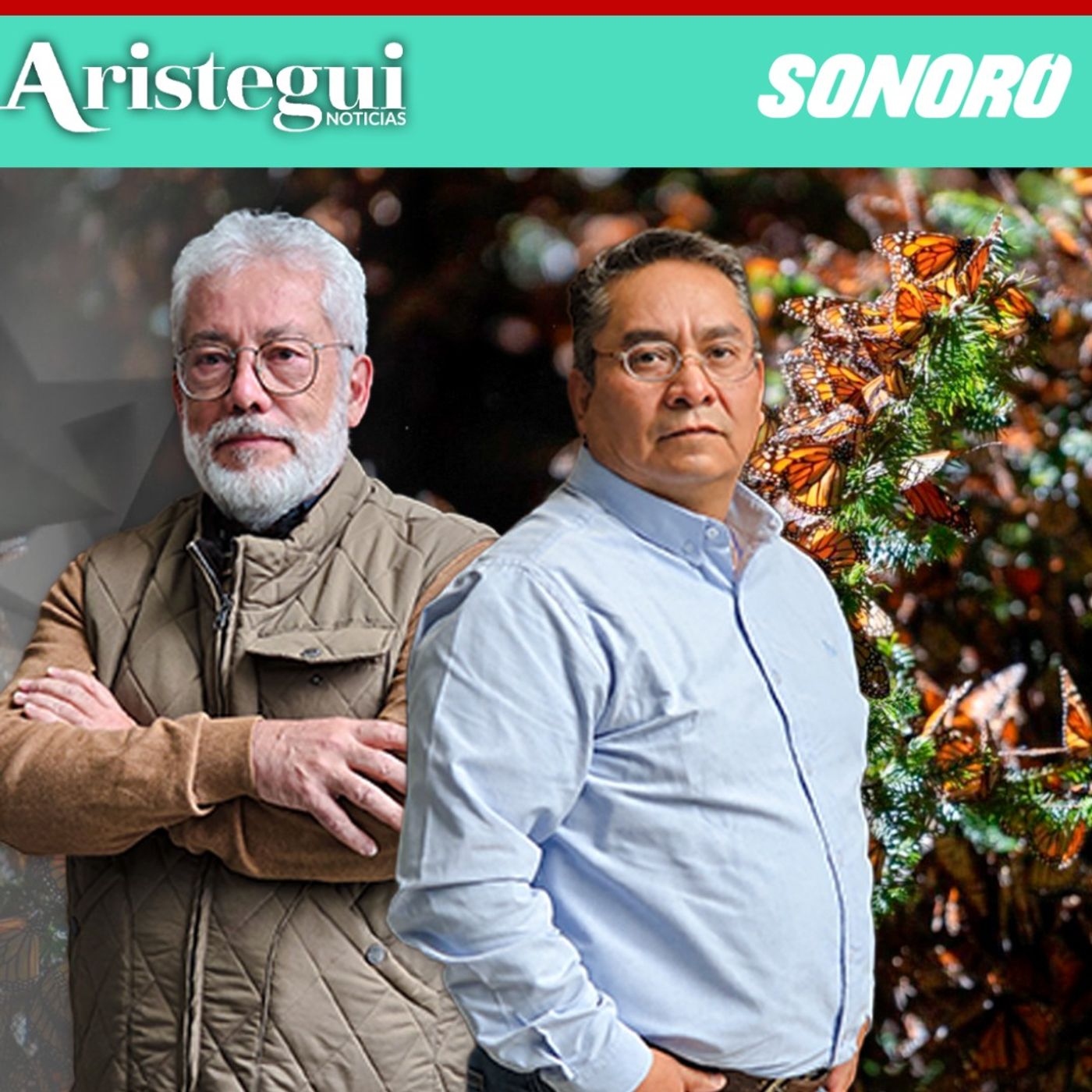 Mariposa Monarca, la clave de la polinización que conecta a Canadá, EE UU y México, señalan expertos