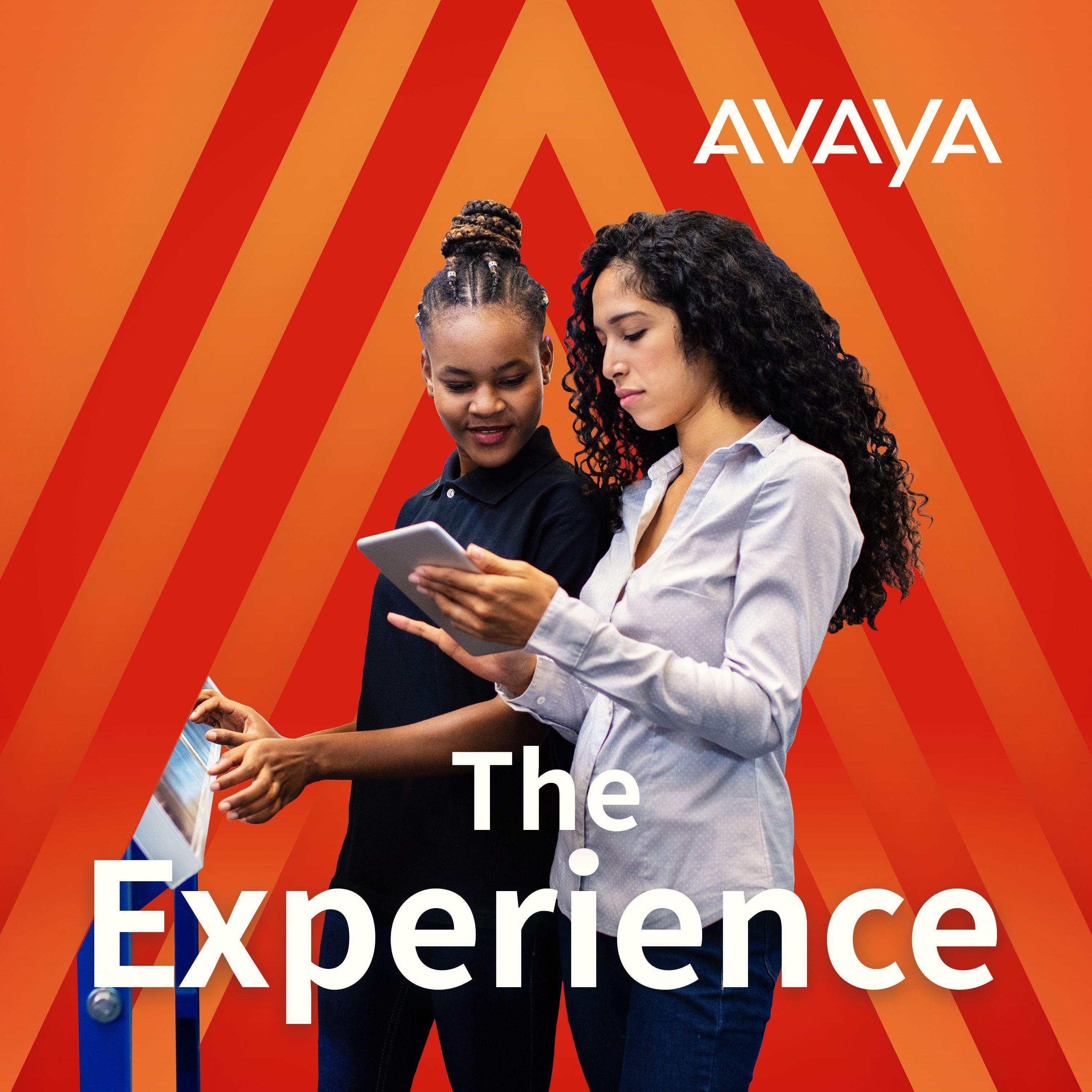 The Experience
