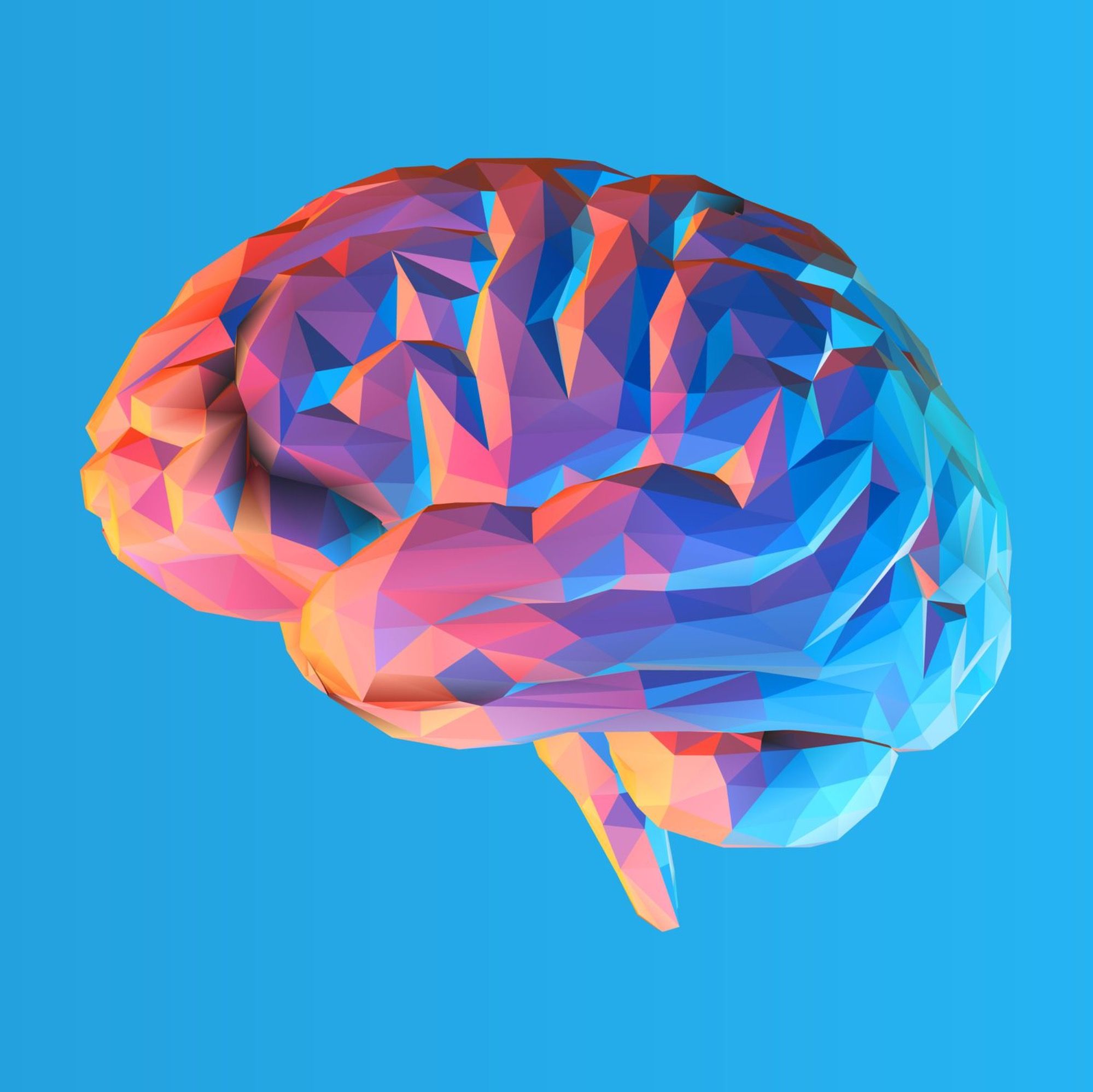 Ep. 34 DMN and Neuroplasticity