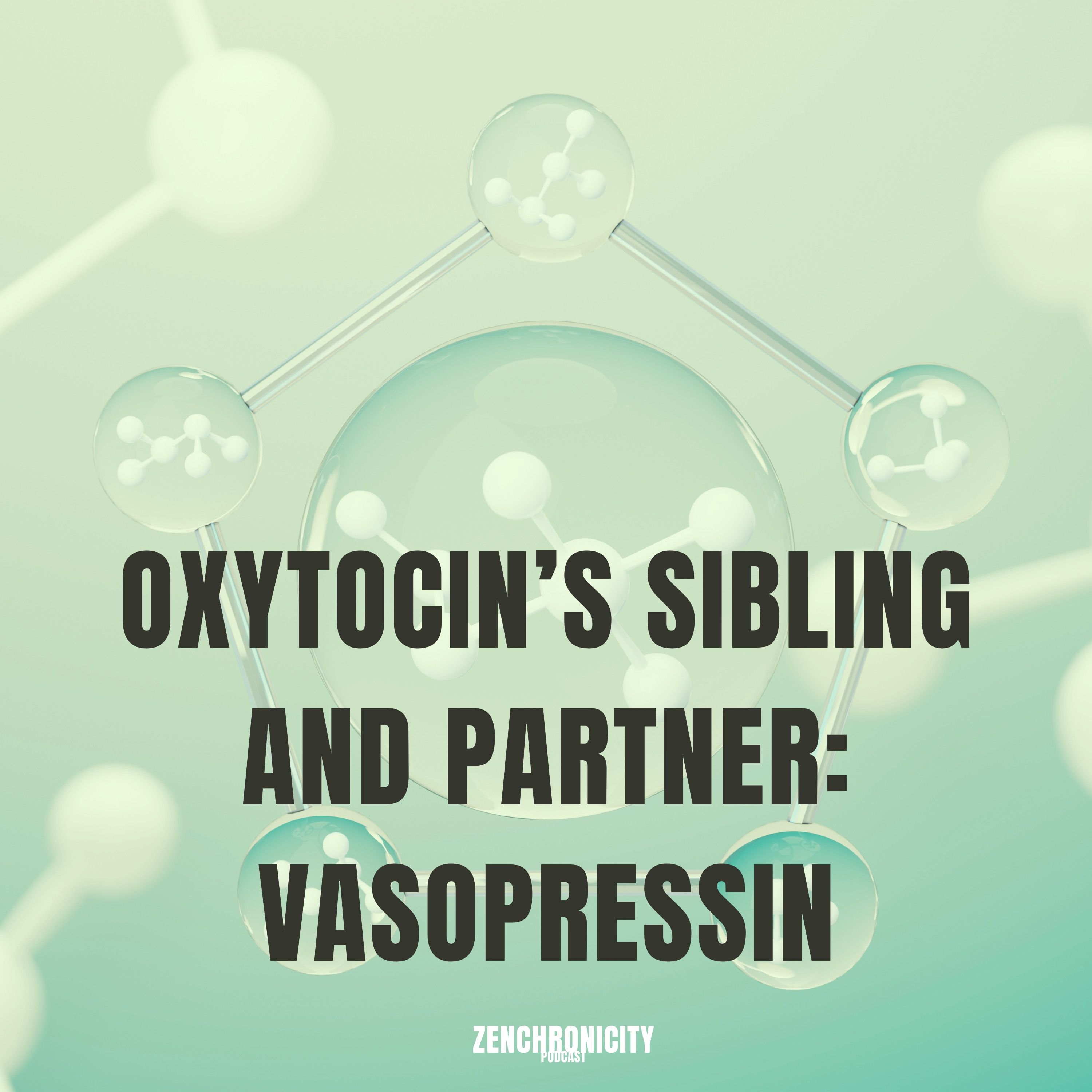 Oxytocin's Partner and Sibling: Vasopressin