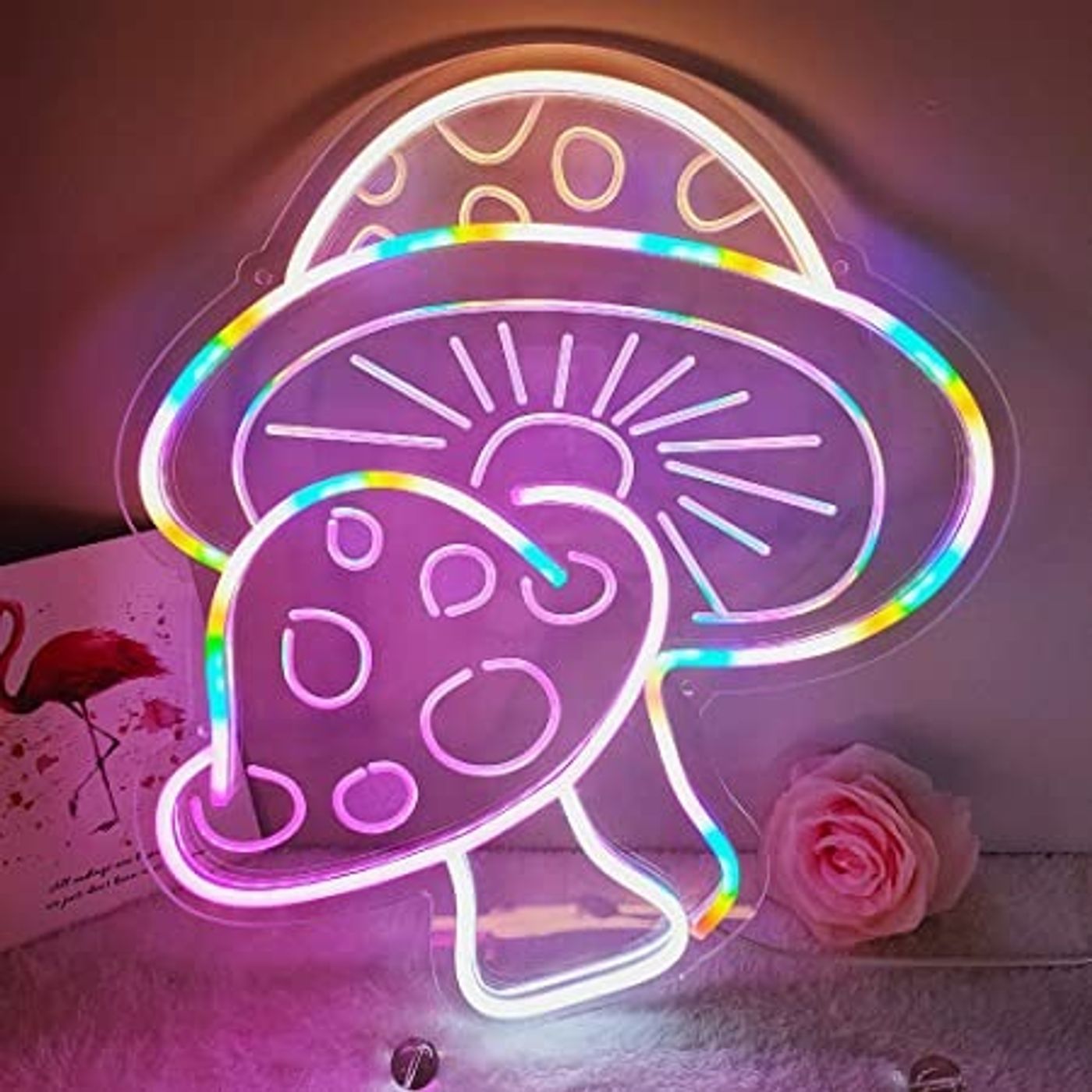 Ep.3 Magical World of Mushrooms