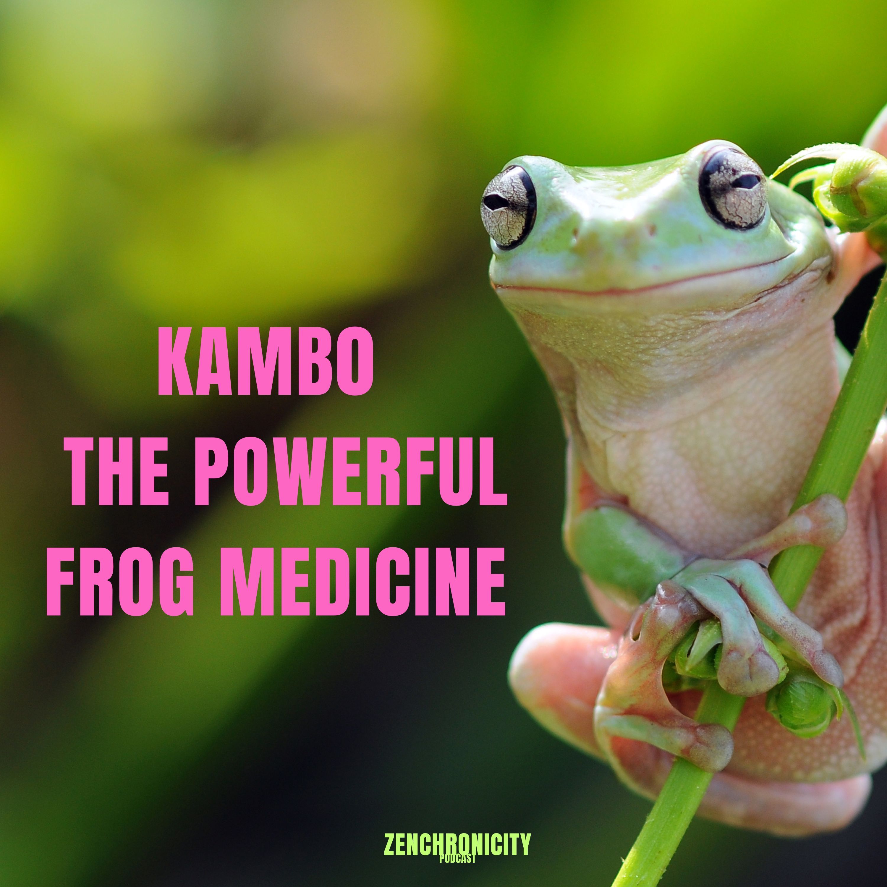 Kambo; The Vaccine of the Forest
