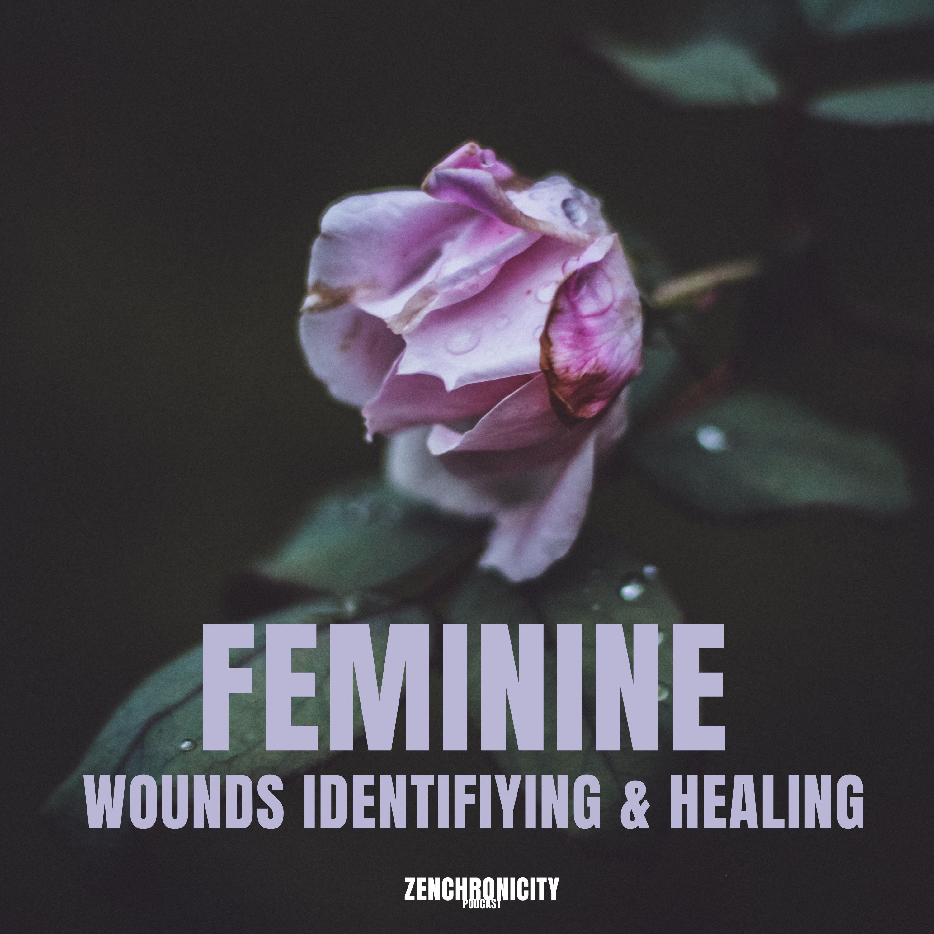 S.3.E.1 Feminine Wounds: Identifying and Healing