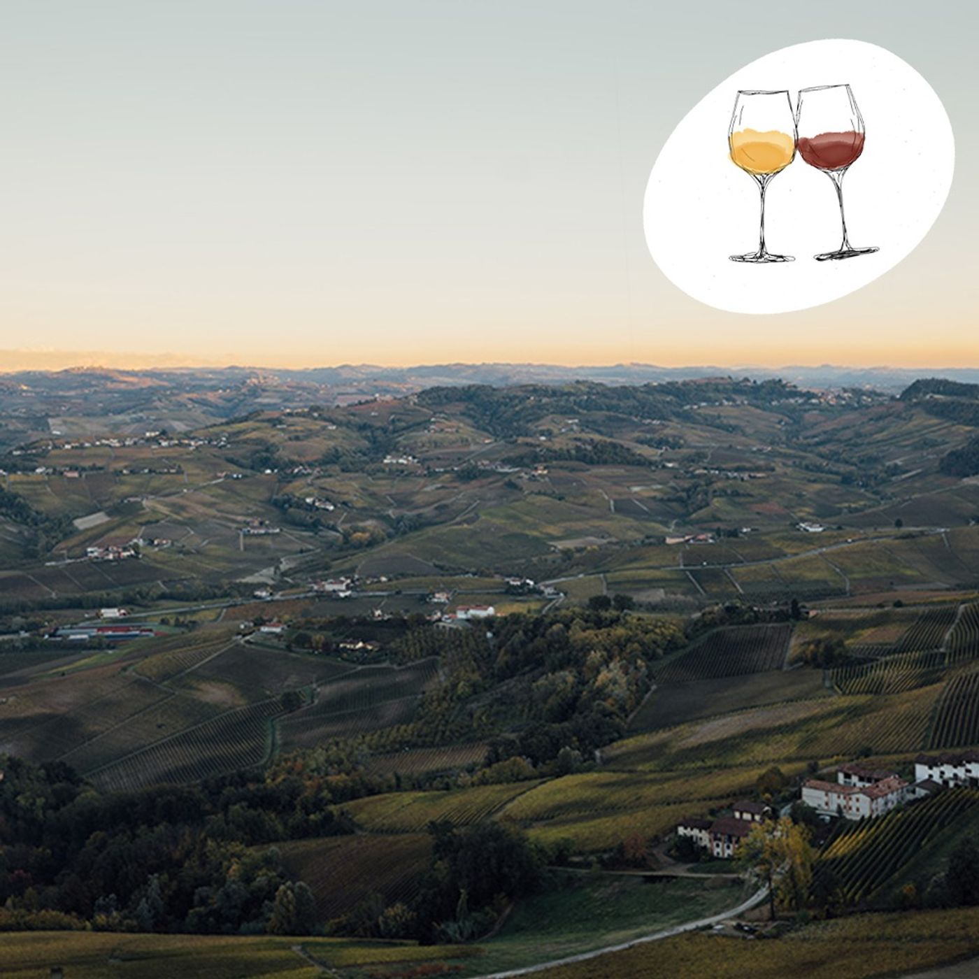 #S23 Alles Barolo: Eine Weinreise ins Piemont