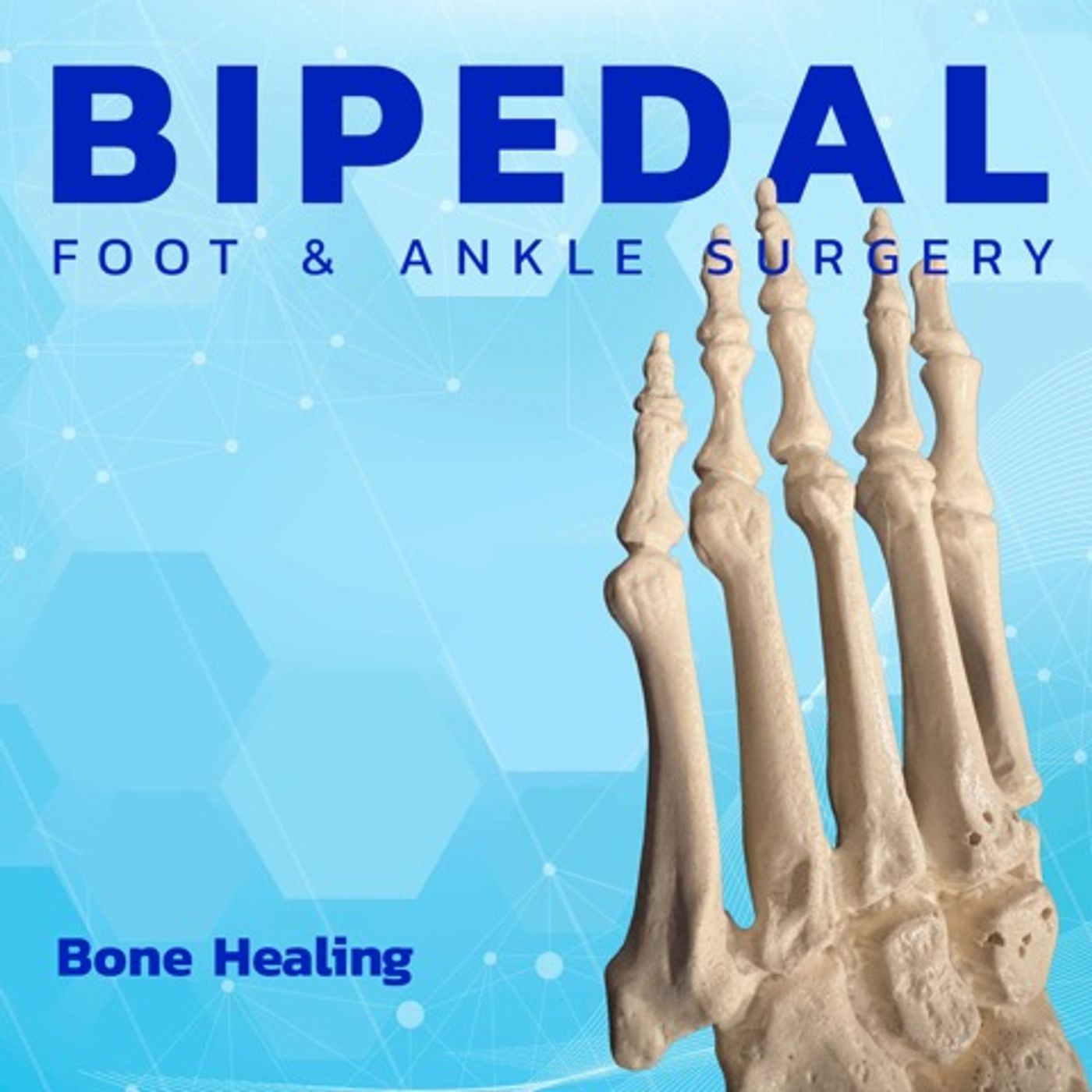 Bone Healing episode artwork