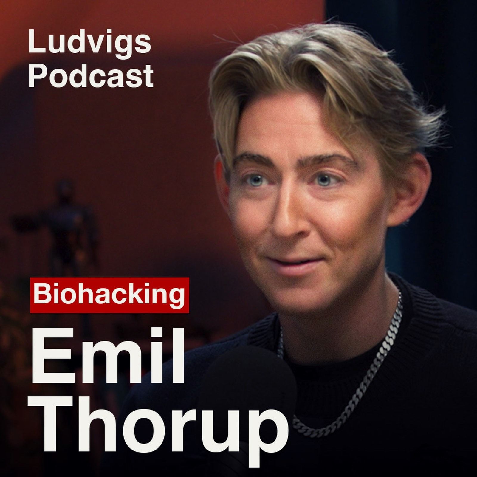Ludvigs Podcast