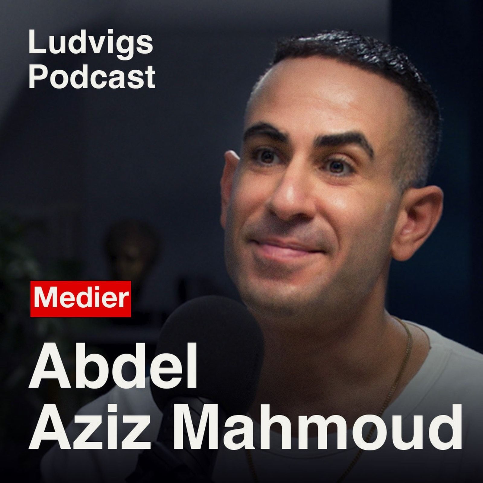 Ludvigs Podcast