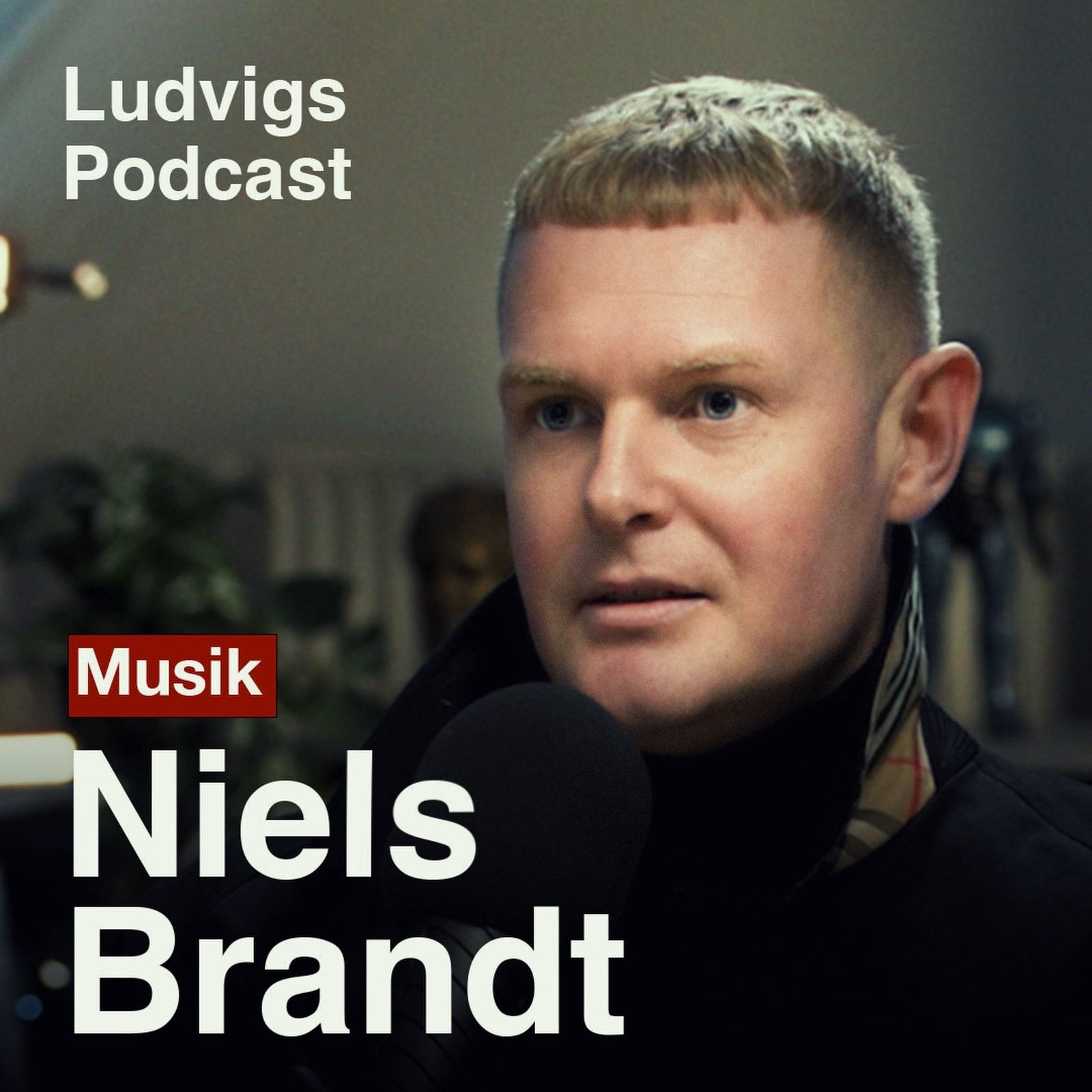 Ludvigs Podcast