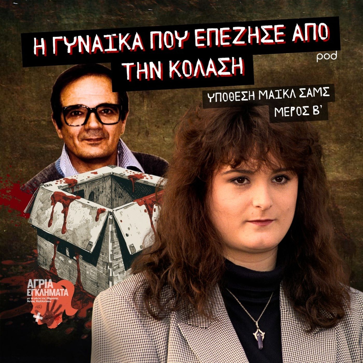 Η γυναίκα που επέζησε από την κόλαση - Υπόθεση Μάικλ Σαμς (Μέρος Β) episode artwork