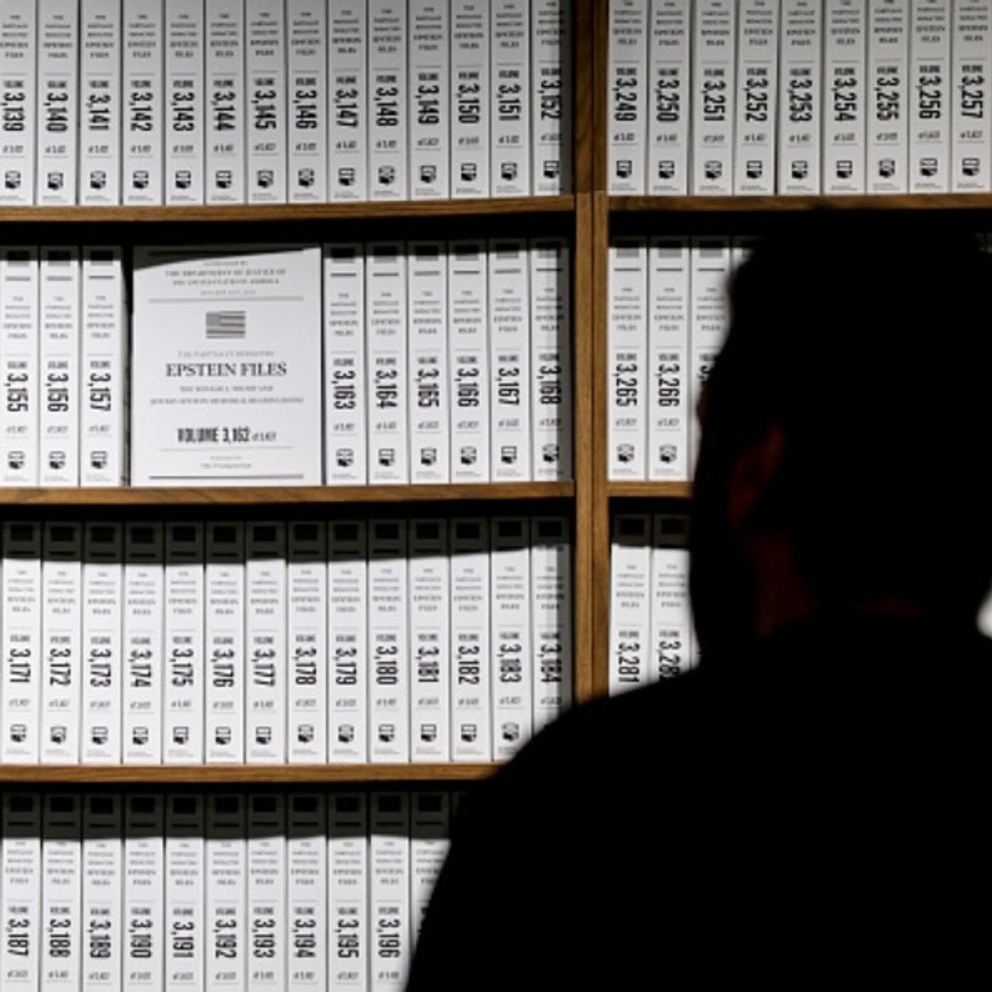 A Tour Through the Epstein Files