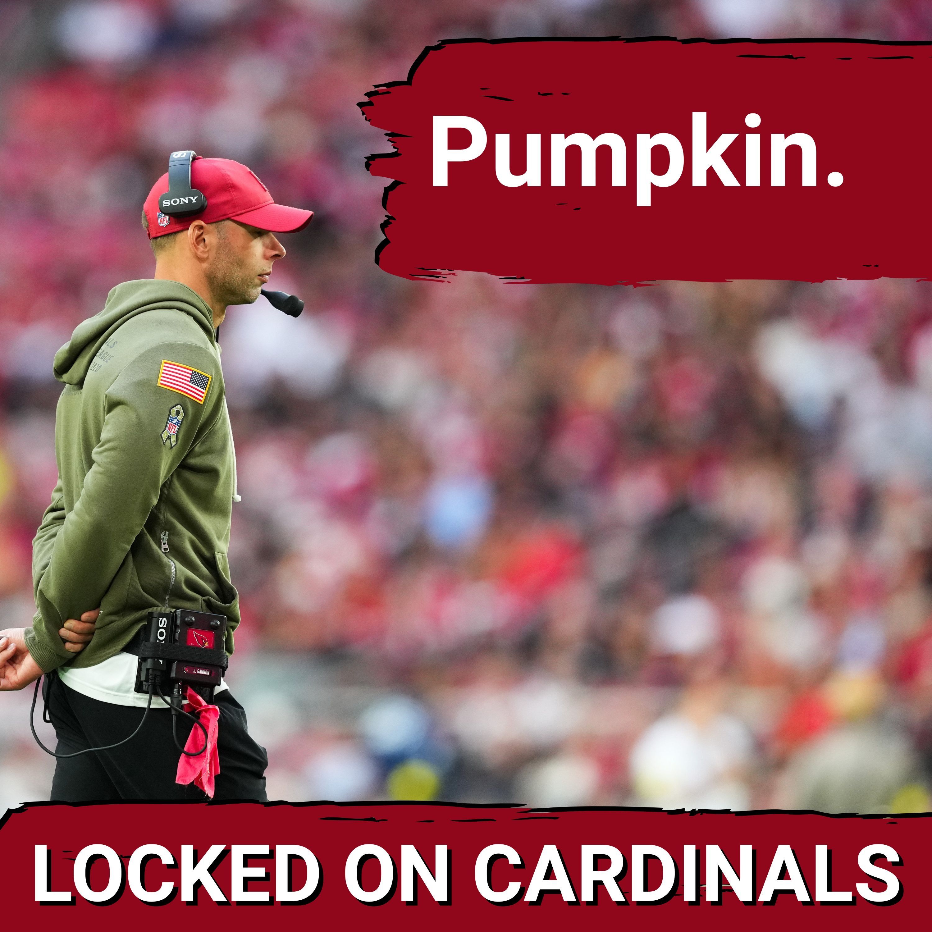 ELIMINATED: Arizona Cardinals Have Officially Been Eliminated From Playoff Contention