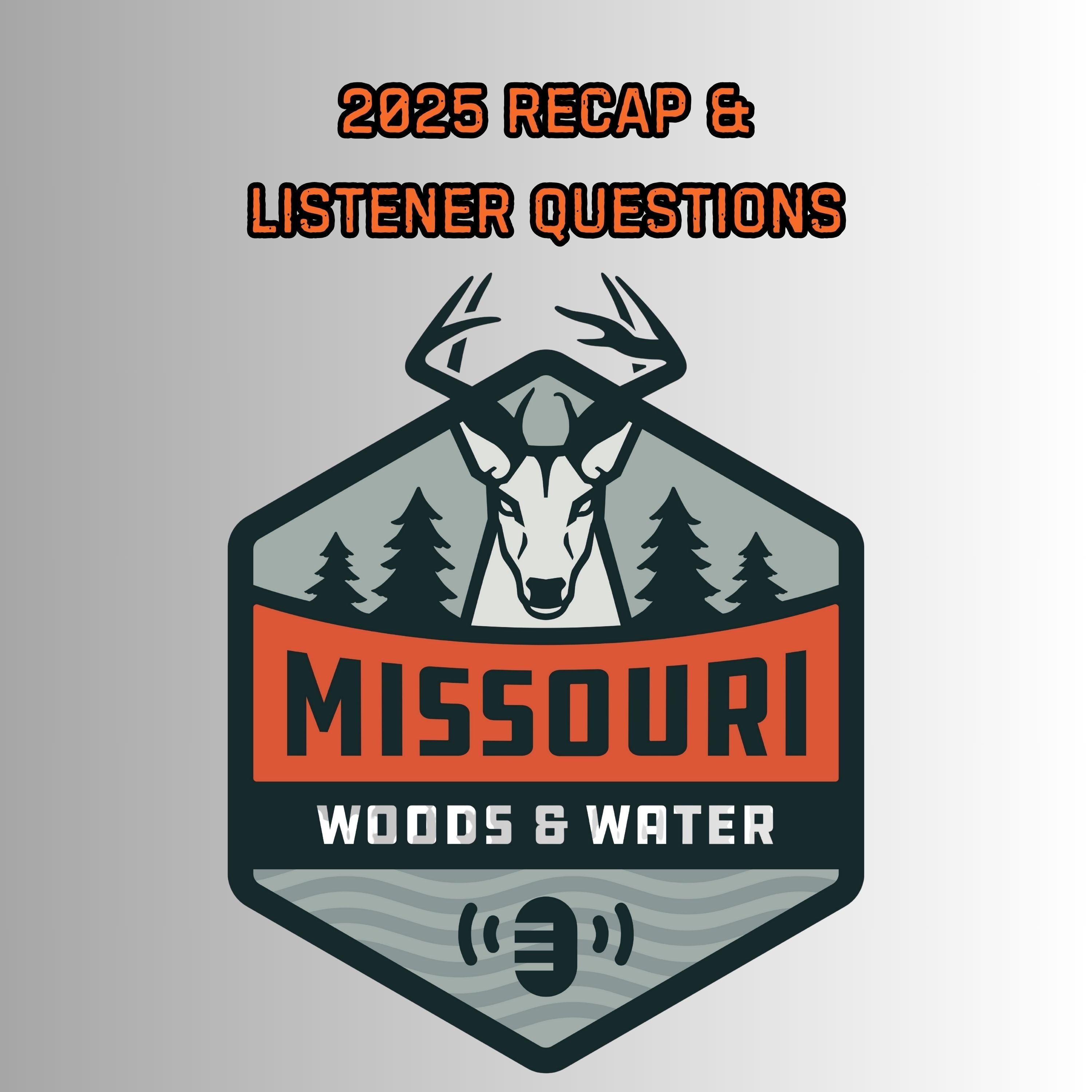 2025 Recap & Listener Questions - Ep 300 episode artwork