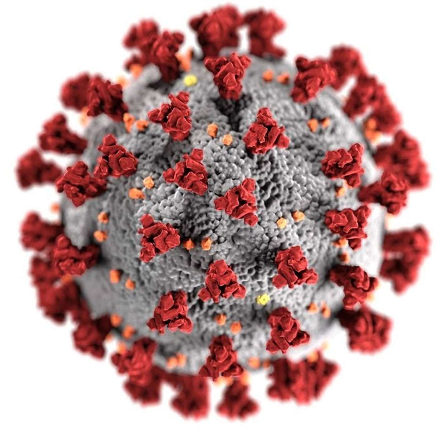 039 To Vax or Not To Vax; That IS The Question!