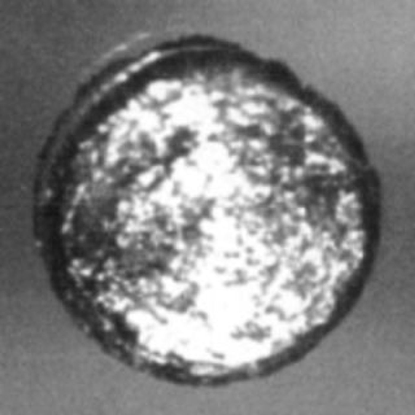 Ep 09 - Californium “Where can they find Don S. Davis’ Ghost?”