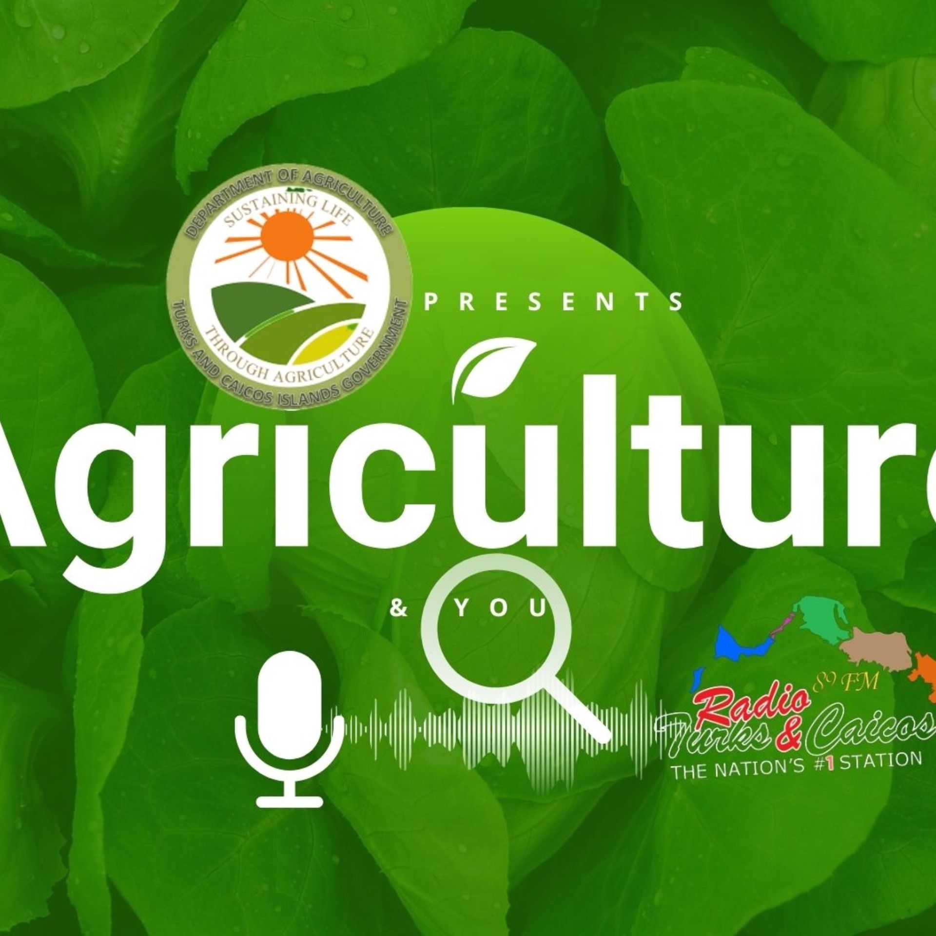 Agriculture and You June 12, 2025