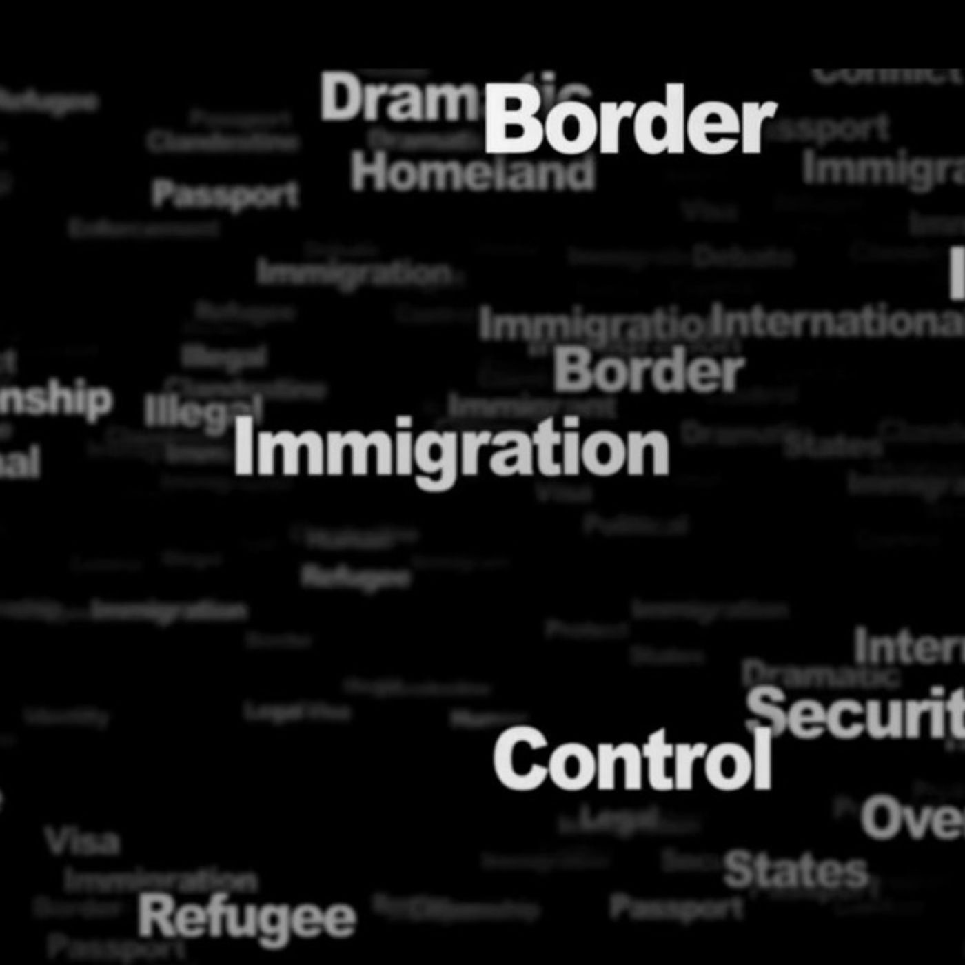 The Economics Of Illegal Immigration And The Effect On Minority Workers