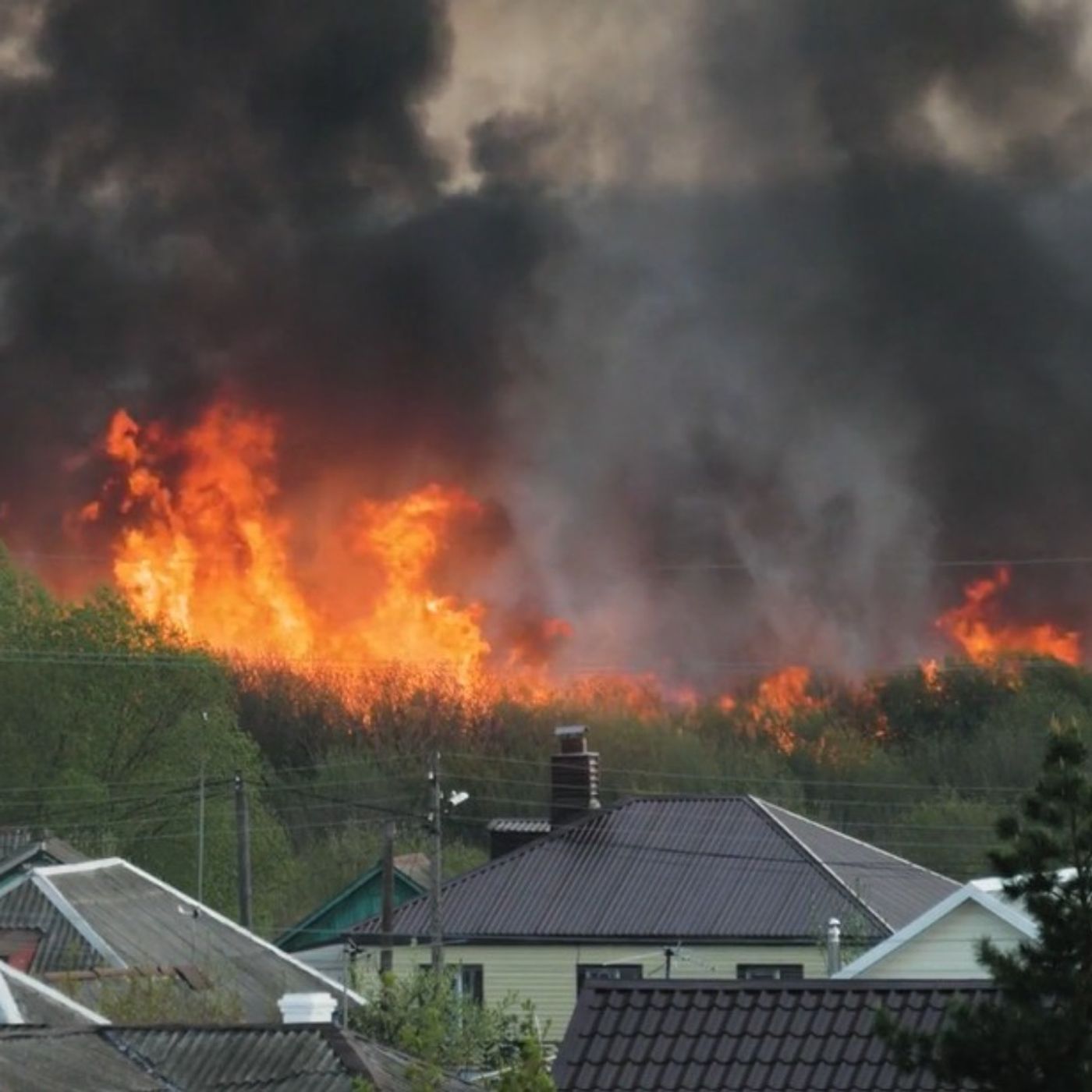 Politics And Wildfires