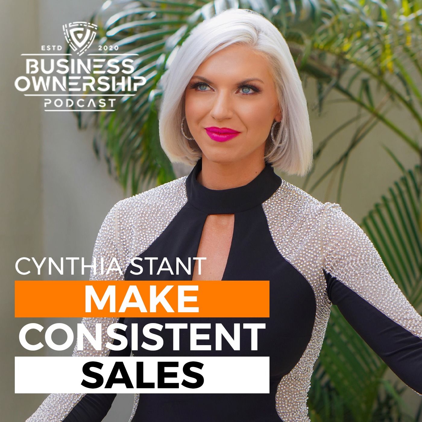 The Business Ownership Podcast