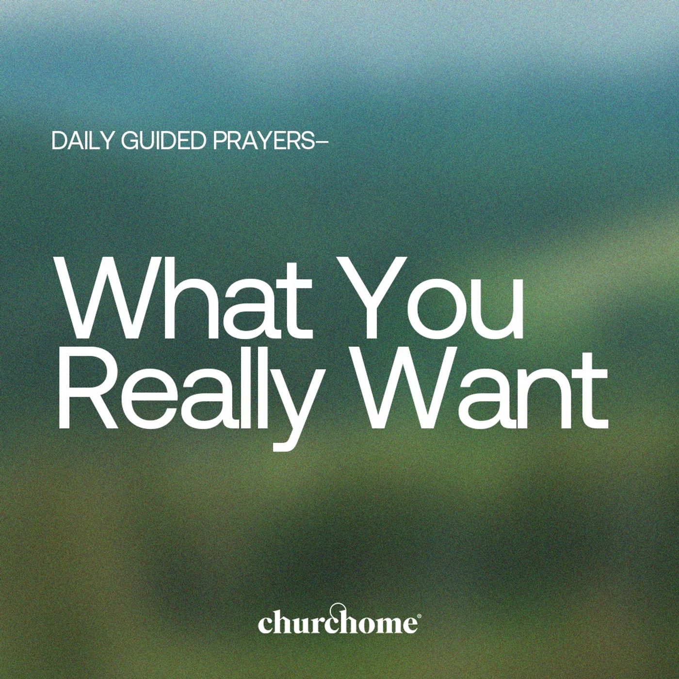 What You Really Want