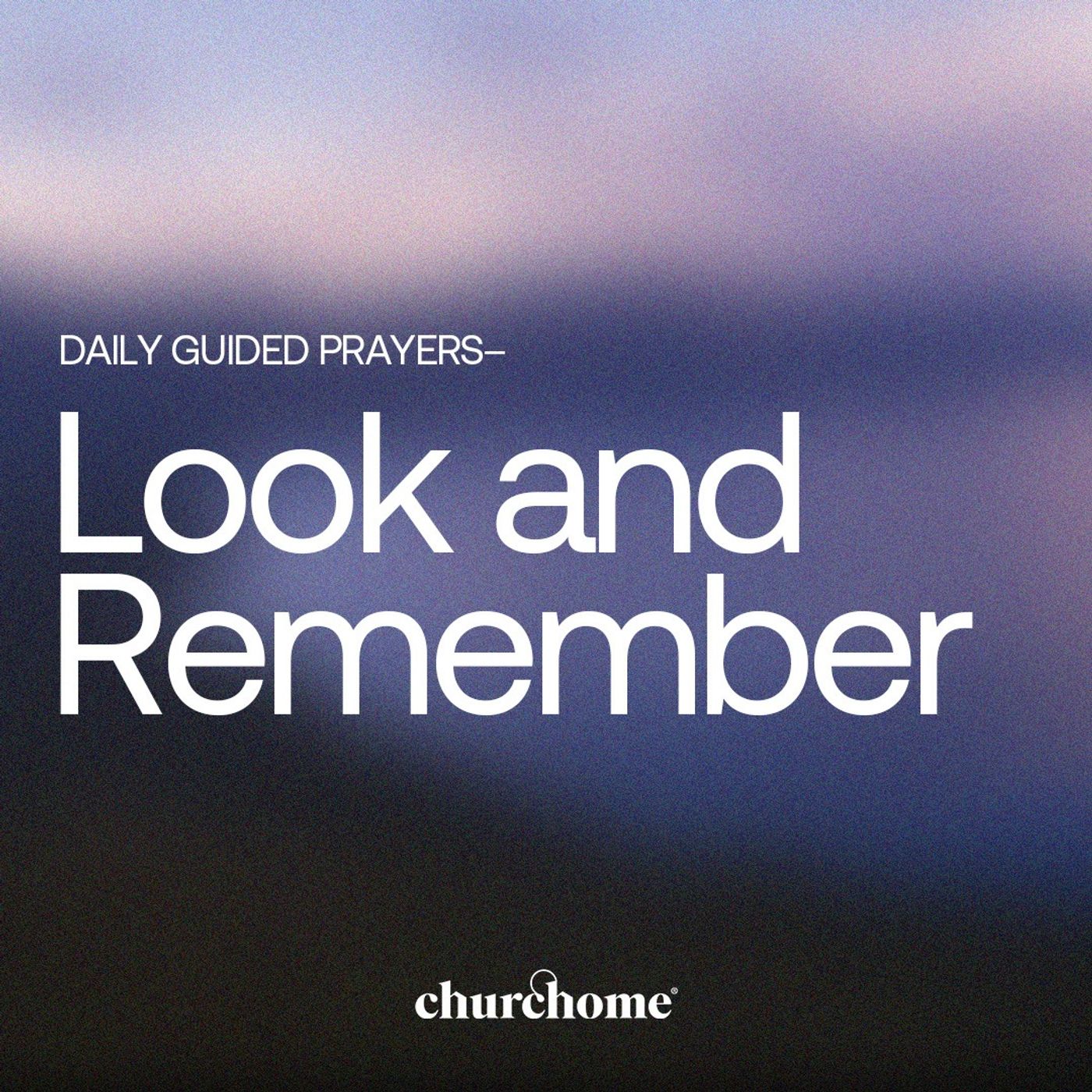 Look and Remember