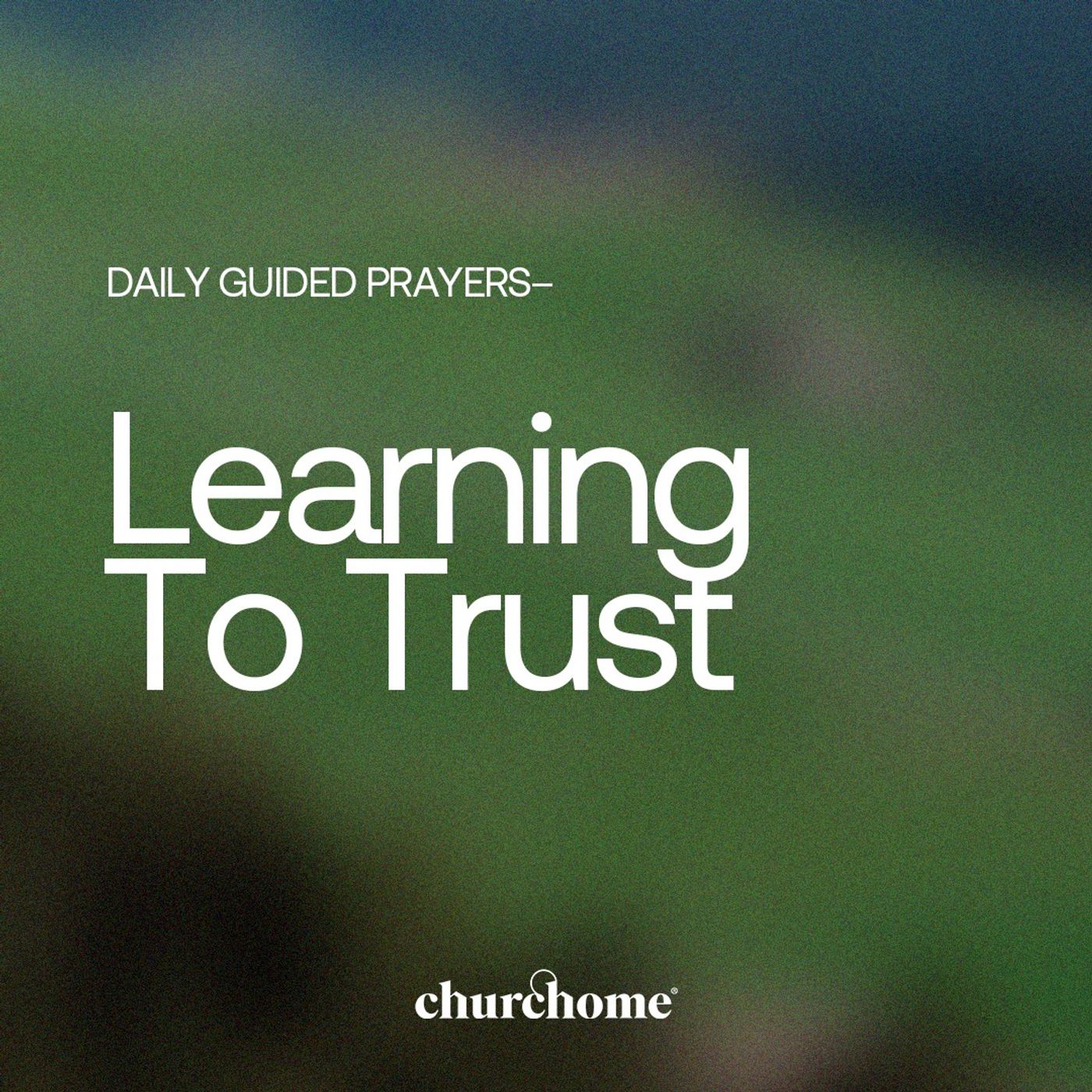 Learning To Trust