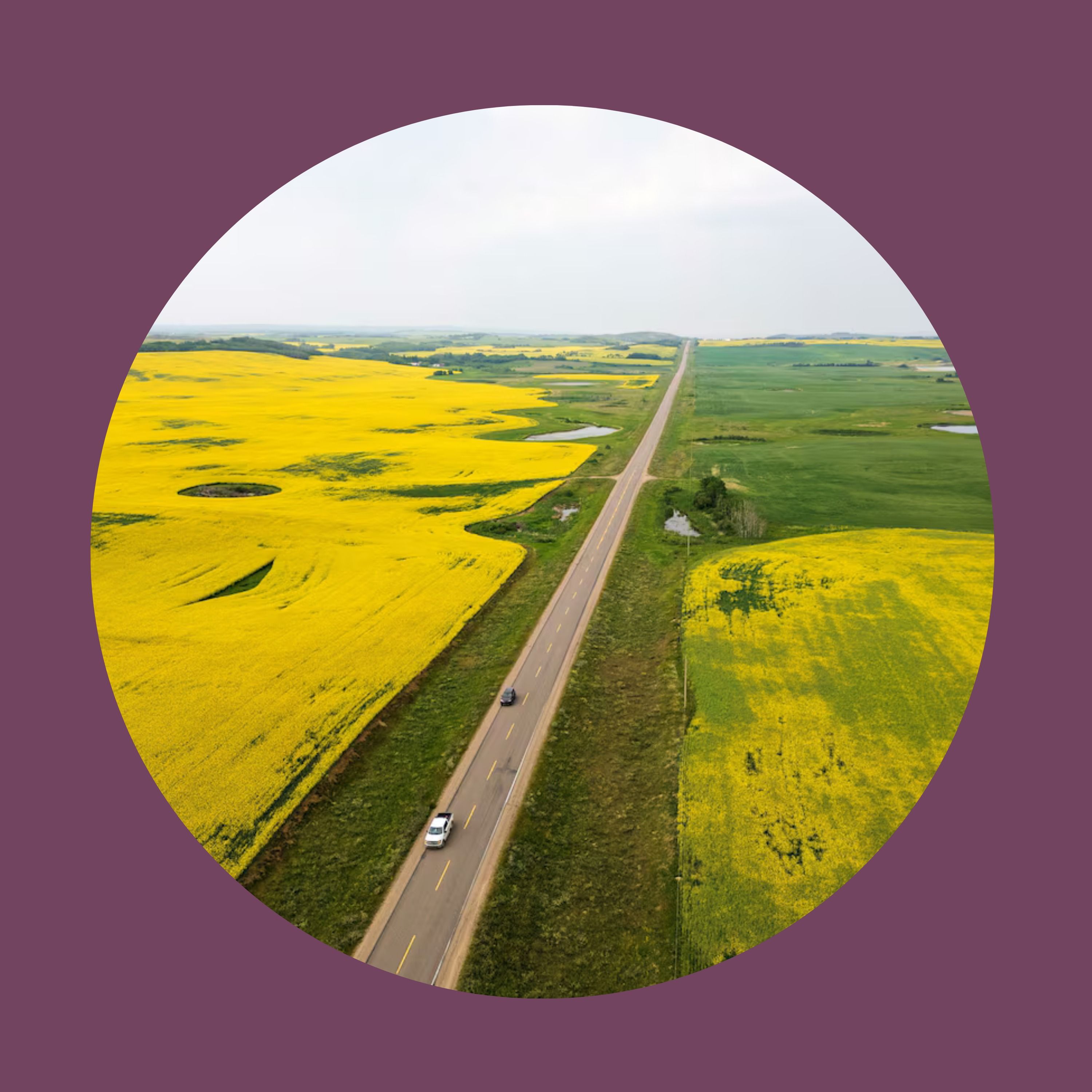 Saskatchewan could hold the key to Canada’s foreign trade goals episode artwork