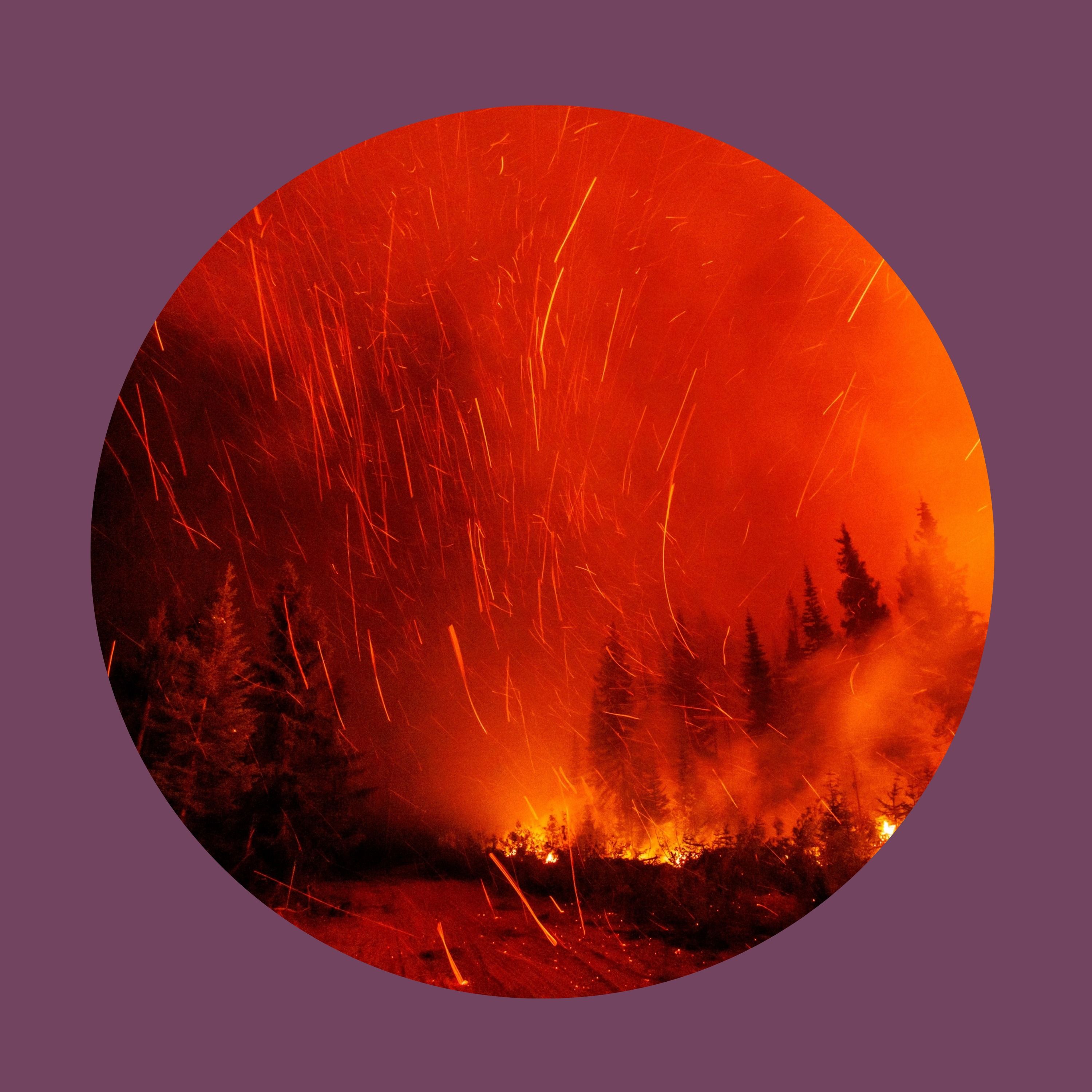 How much forest management matters in wildfires episode artwork