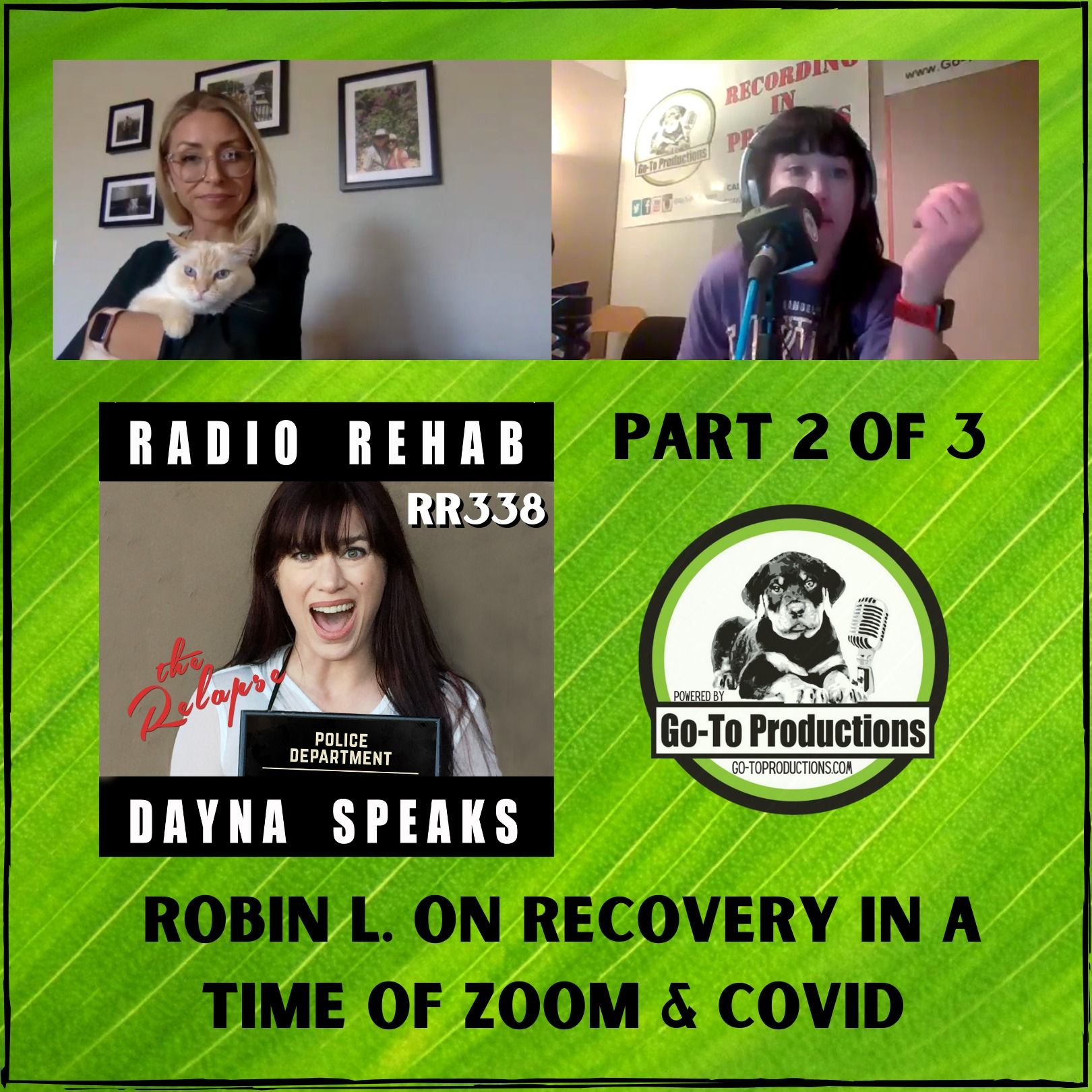 Robin L. On Recovery In The Days Of Zoom & Covid episode artwork
