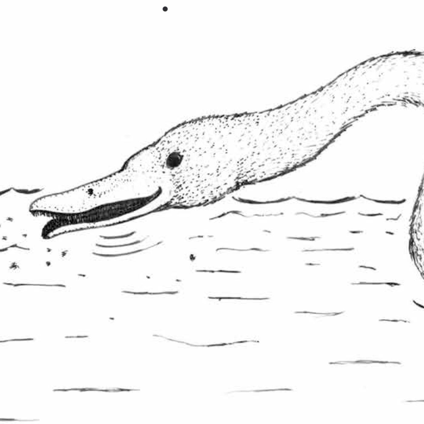 Annakacygna – The Ultimate Bird