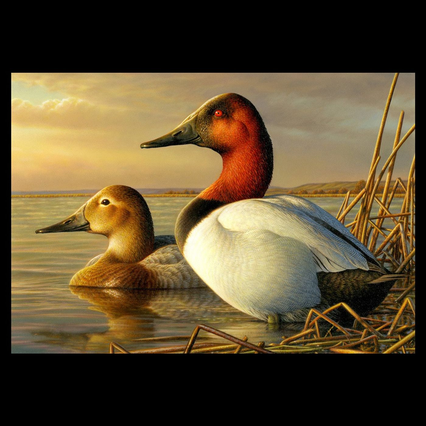 Wetland Birds Thrive