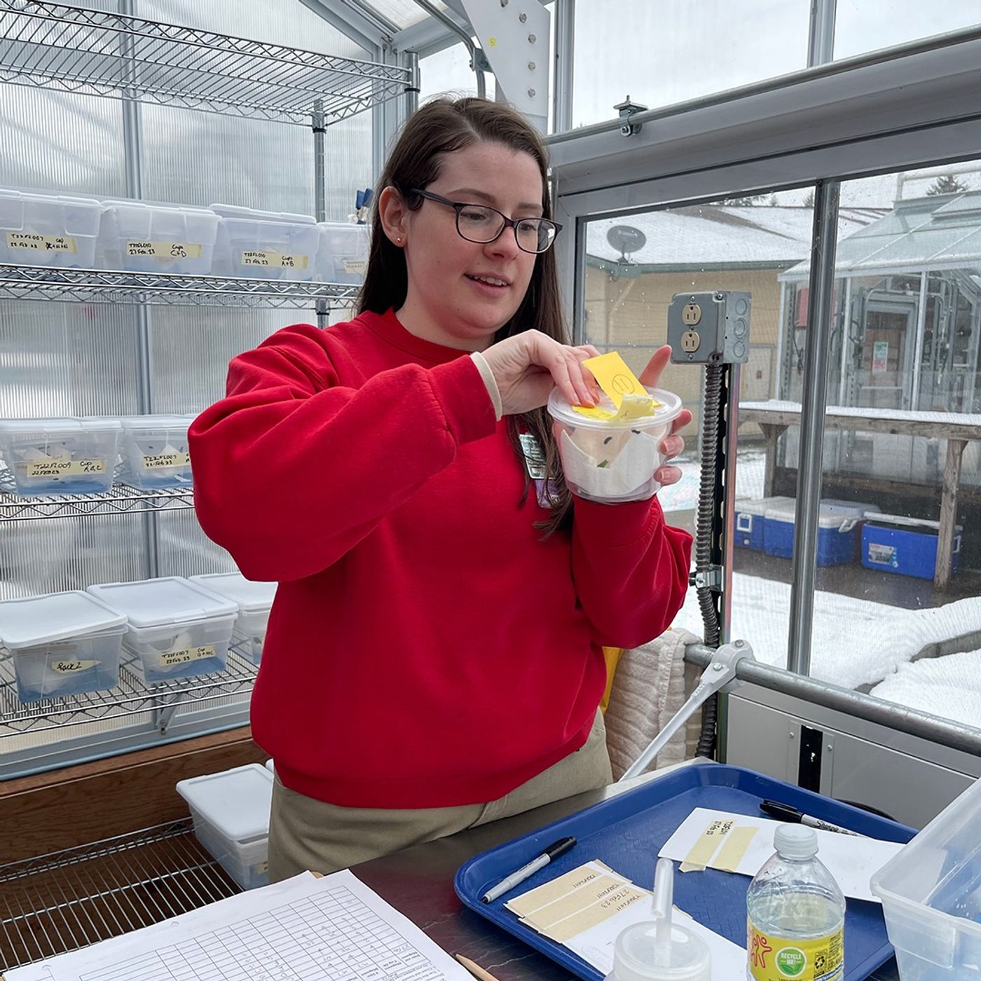 Incarcerated Women Helping Raise Butterflies