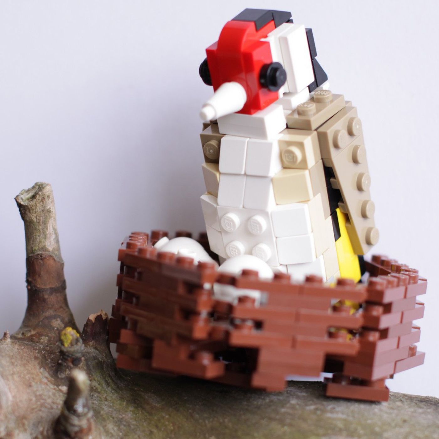 Building Birds with LEGO