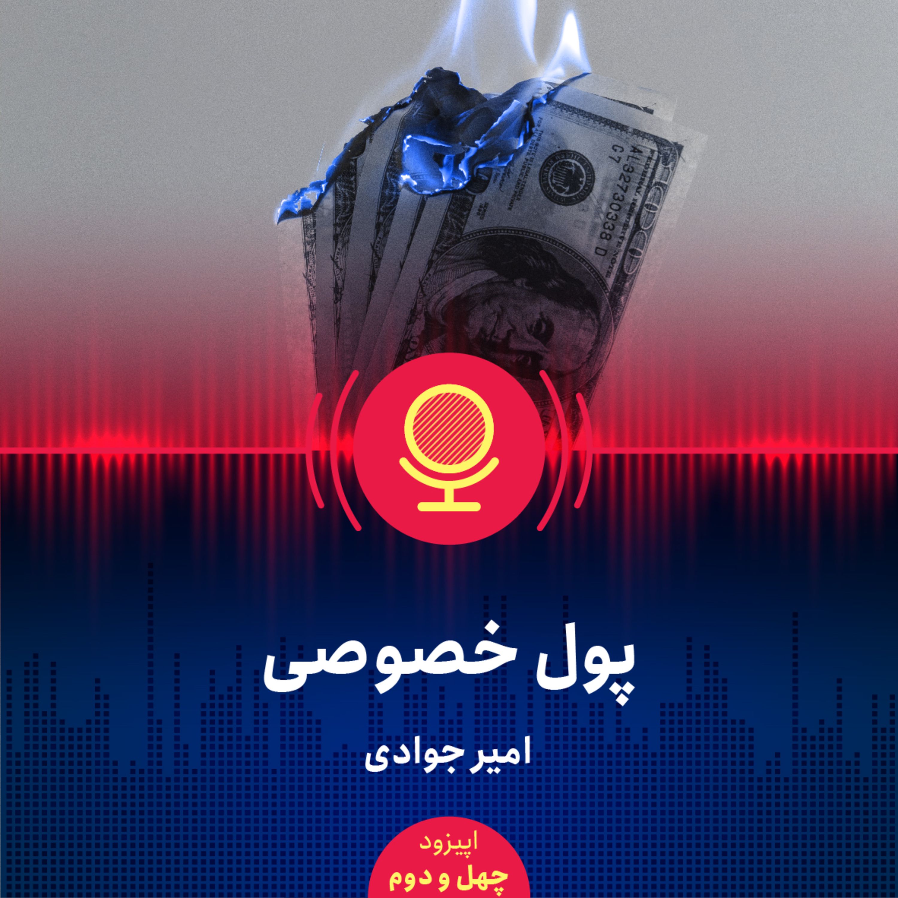 ۴۲: پول خصوصی چیست و گسترش آن منجر به چه اصلاحاتی در اقتصاد می‌شود؟