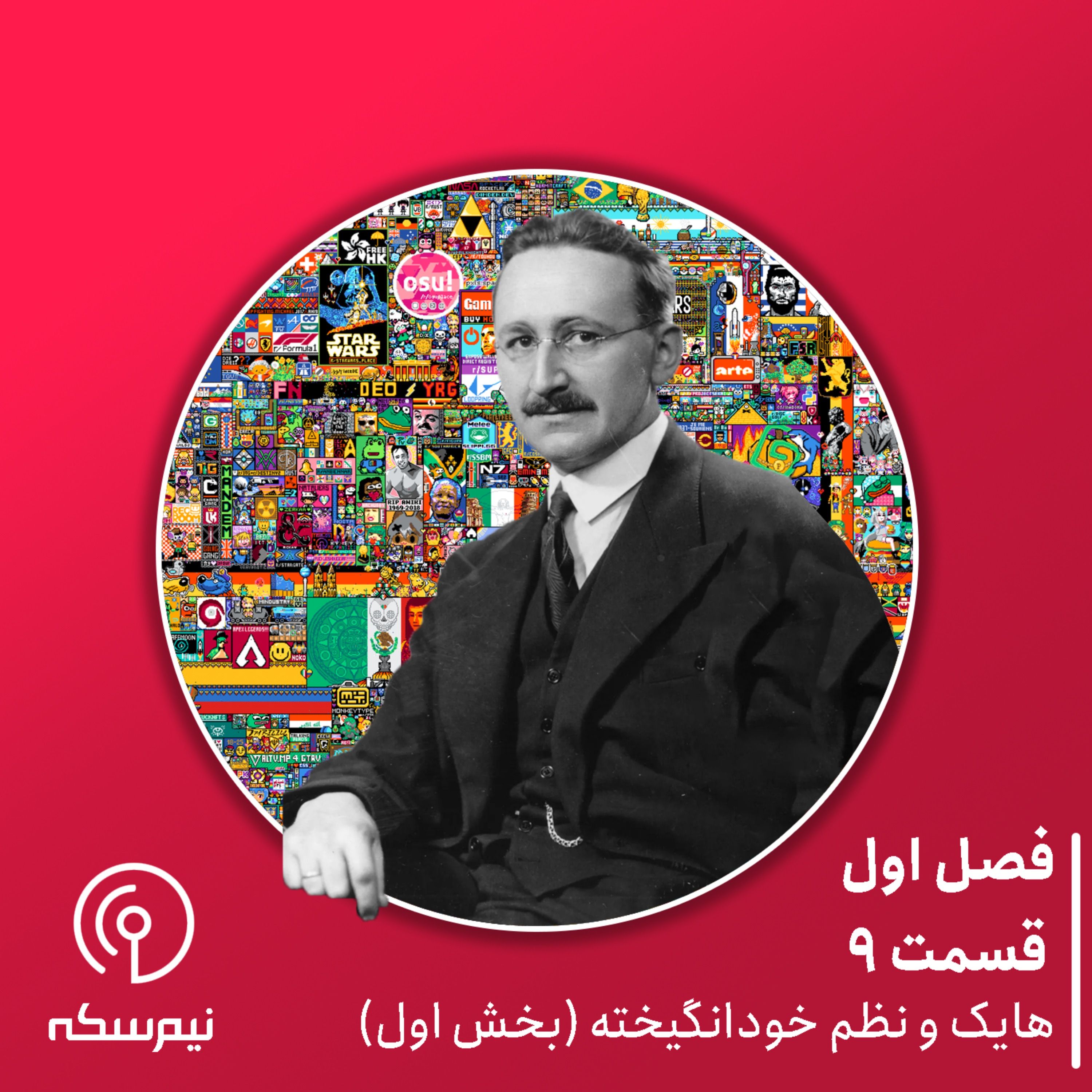 قسمت ۹ نیم‌سکه:  «هایک و نظم خودانگیخته» (بخش اول)