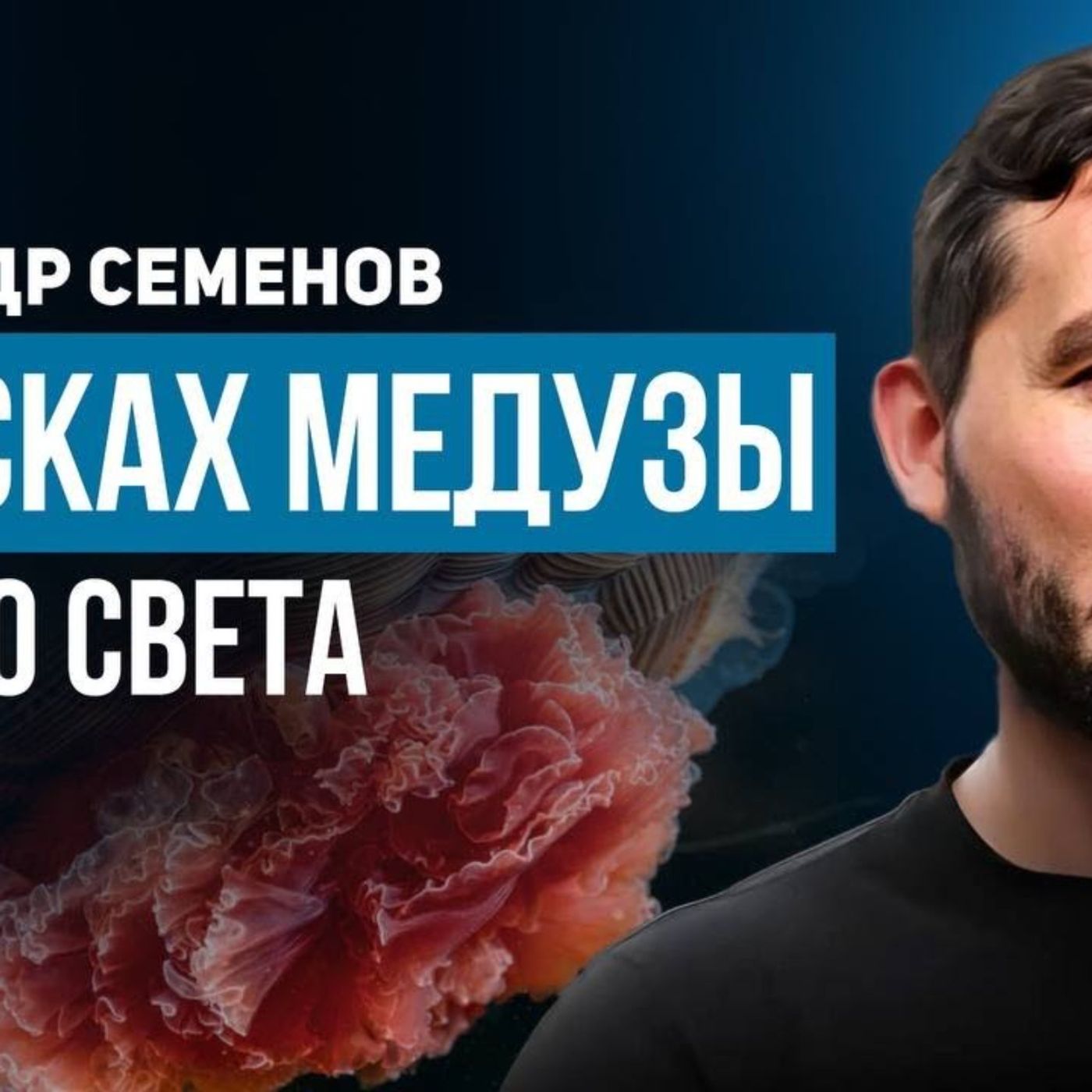 Александр Семенов: В поисках медузы на краю света