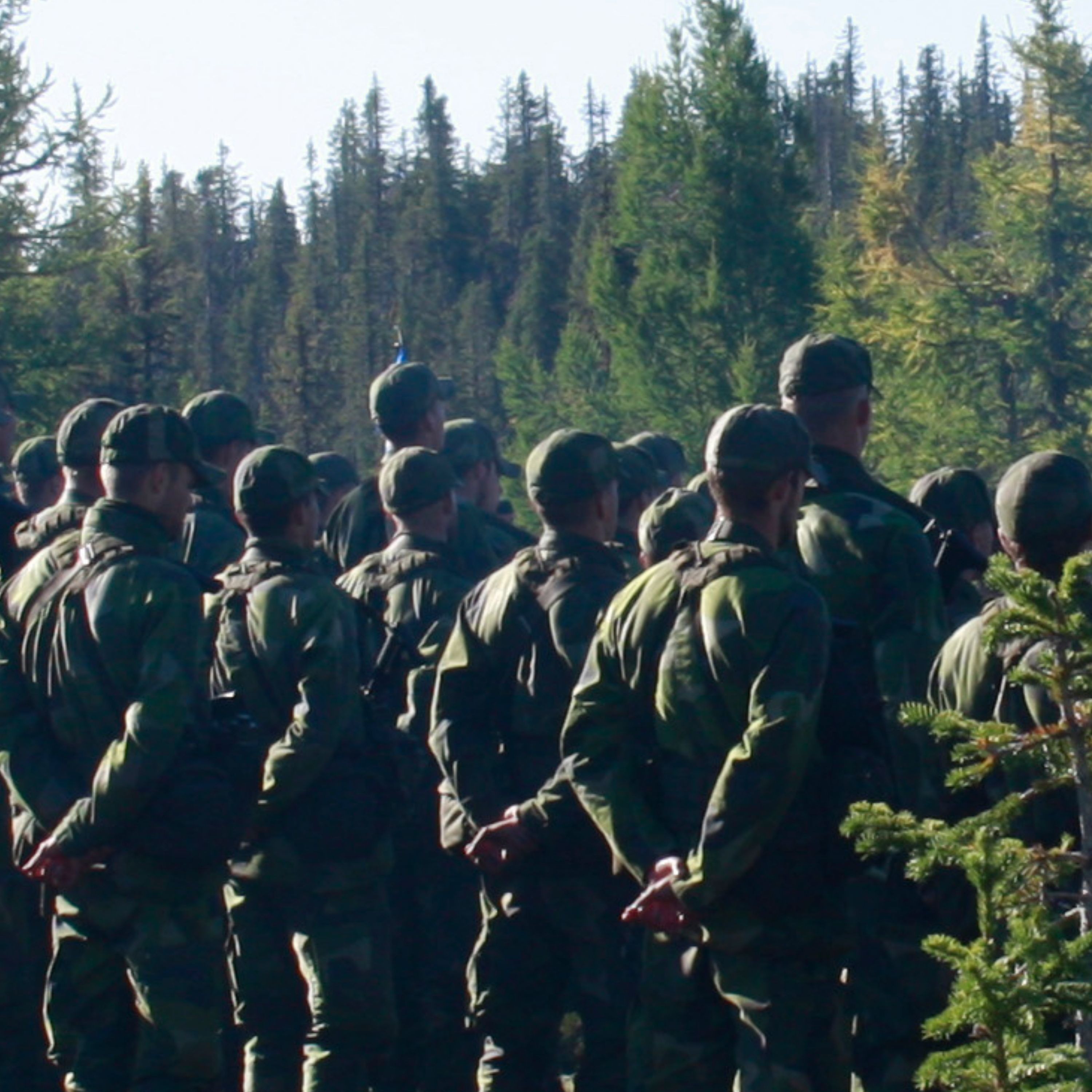 Podd 56 - Jägarförbanden - Arméns jägarbataljon del 3