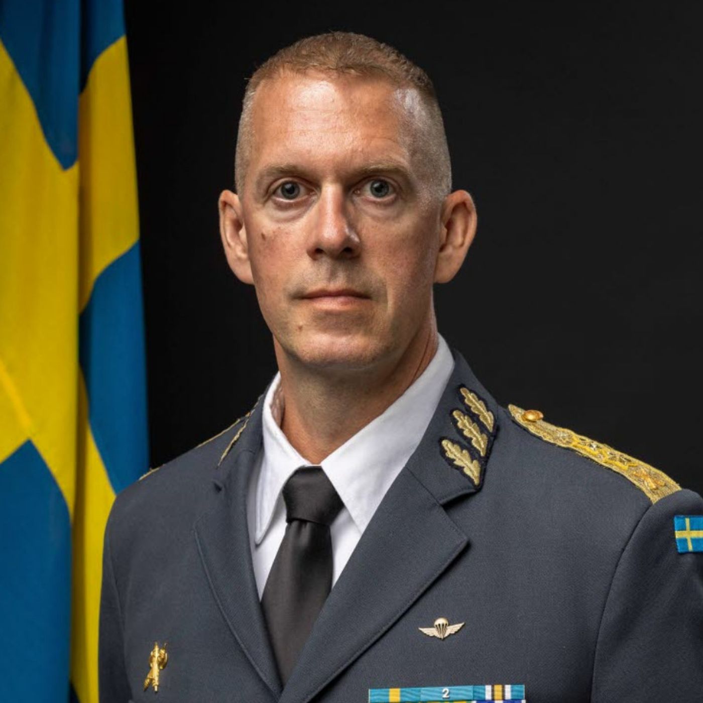 Podd 213 - Försvarsmaktens återuppbyggnad - Armén