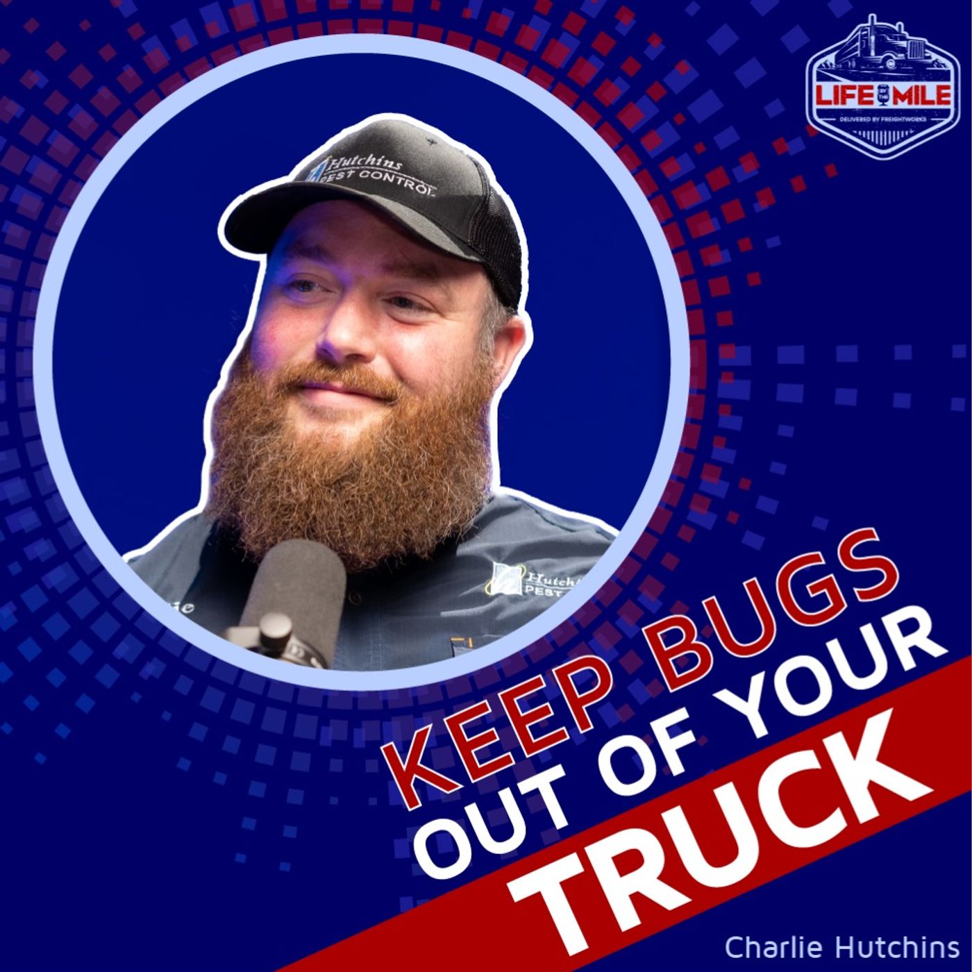 How To Keep Bugs Out Of Your Truck How To Keep Bugs Out Of Your Truck