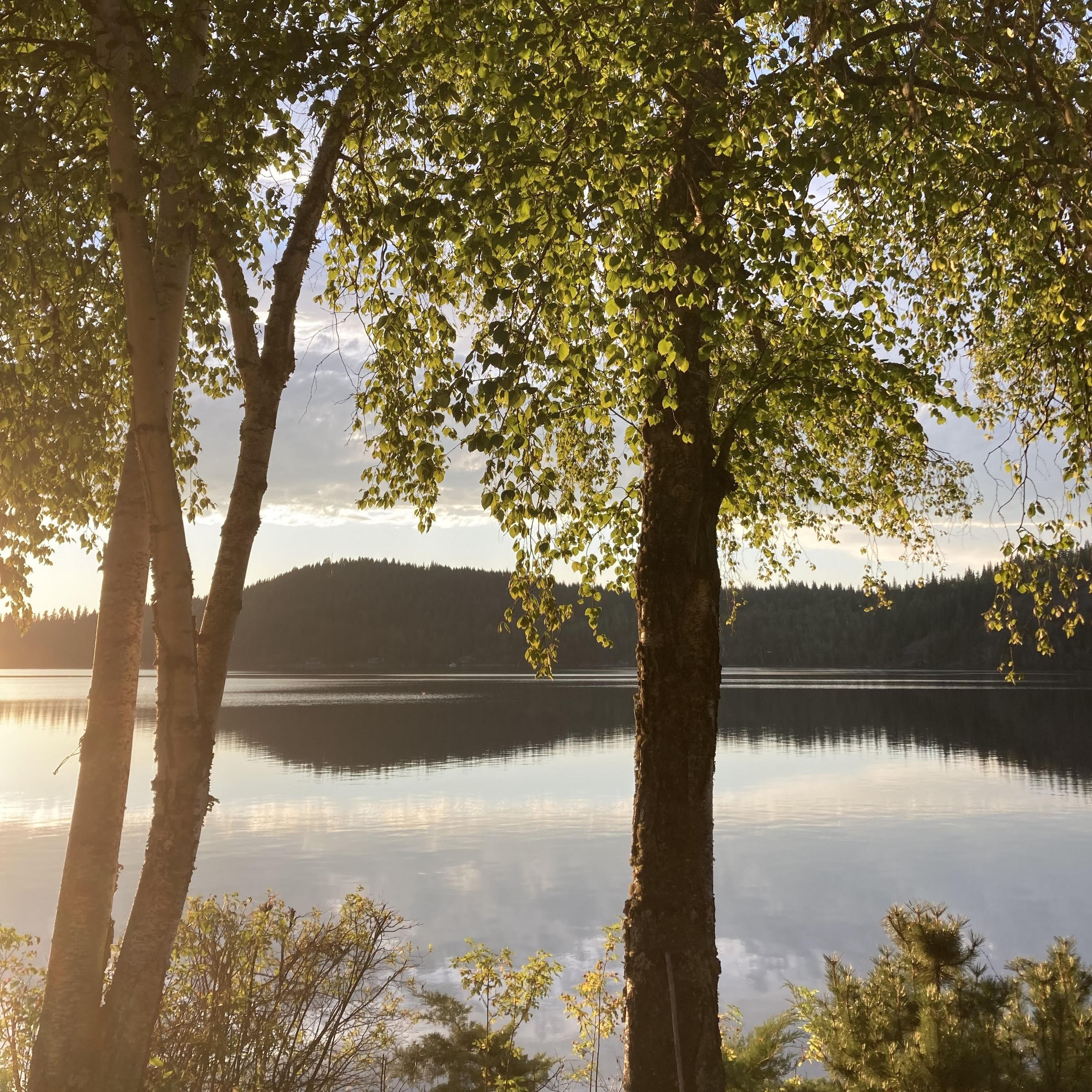Meanderings with Trudy, A Soundscape: Horsefly Lake in the Morning episode artwork