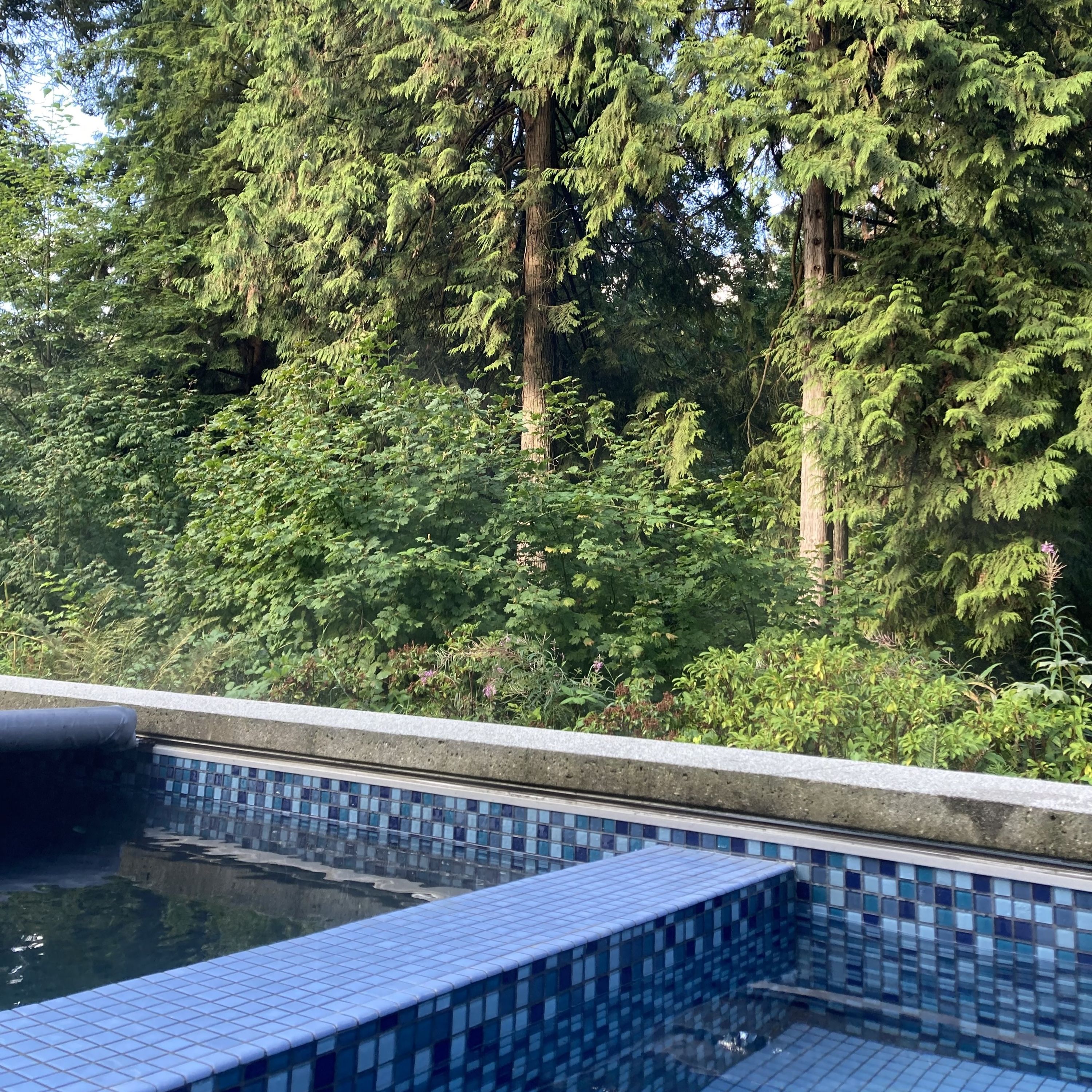 Meanderings with Trudy, A Soundscape: Vancouver Salmon Stream episode artwork