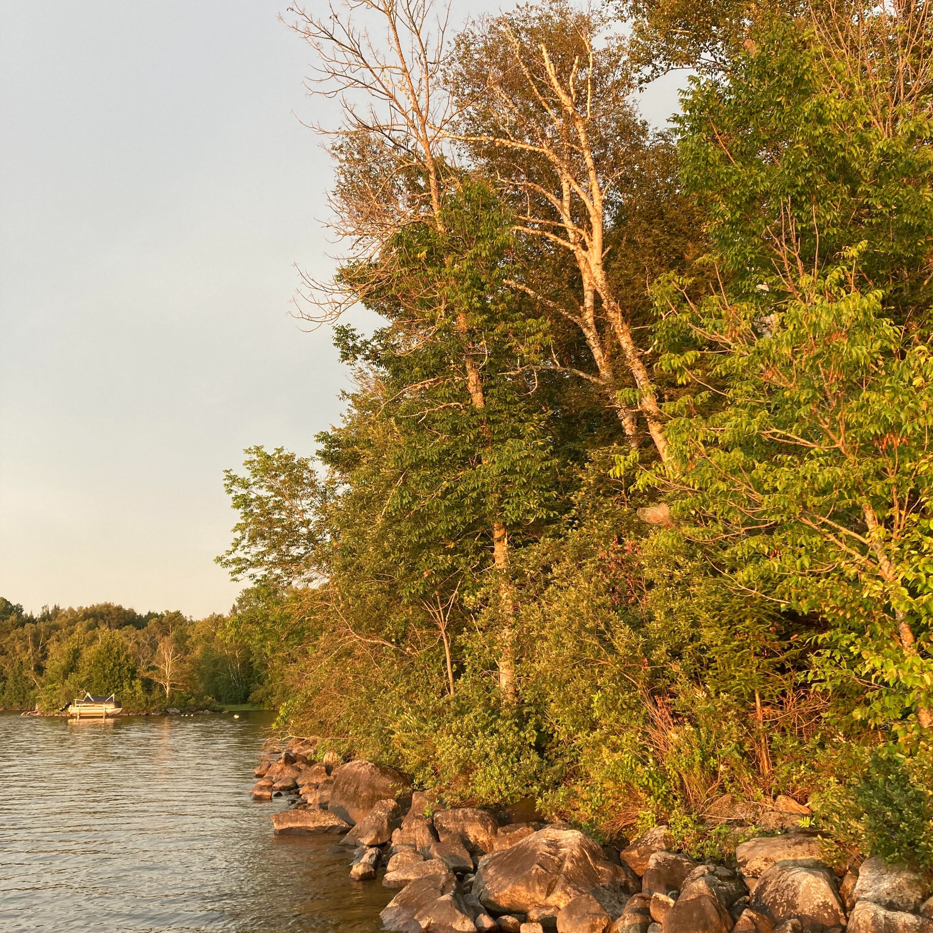 Meanderings with Trudy, A Soundscape: Grand Lac Nominique At Dusk episode artwork
