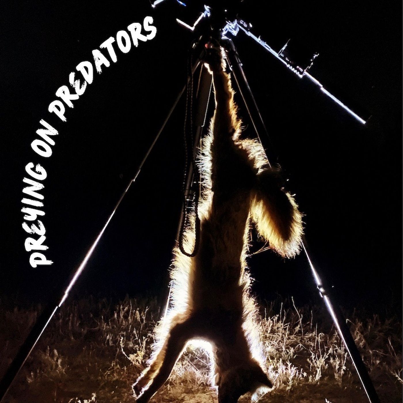 Preying on Predators