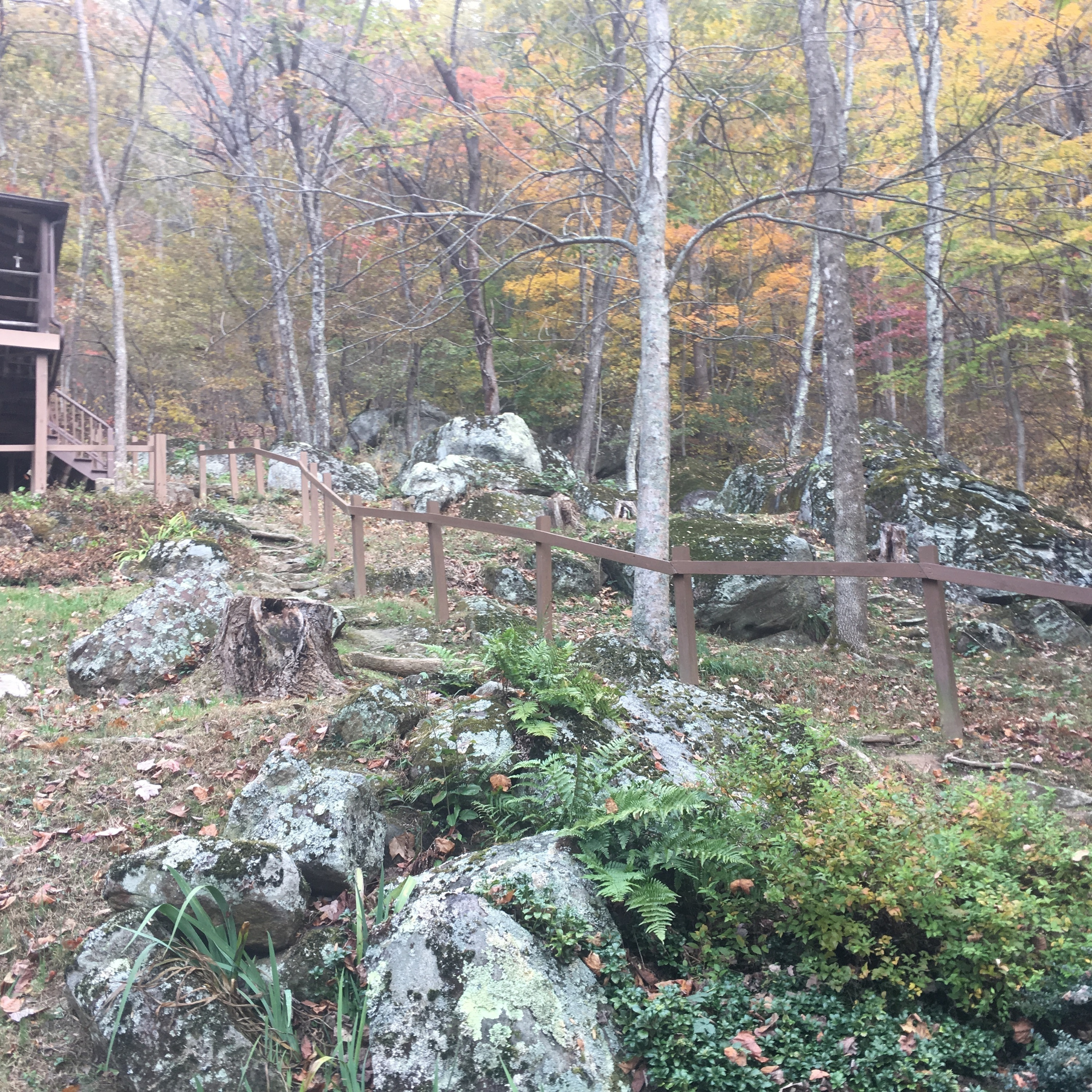 Vipassana: talk and instruction