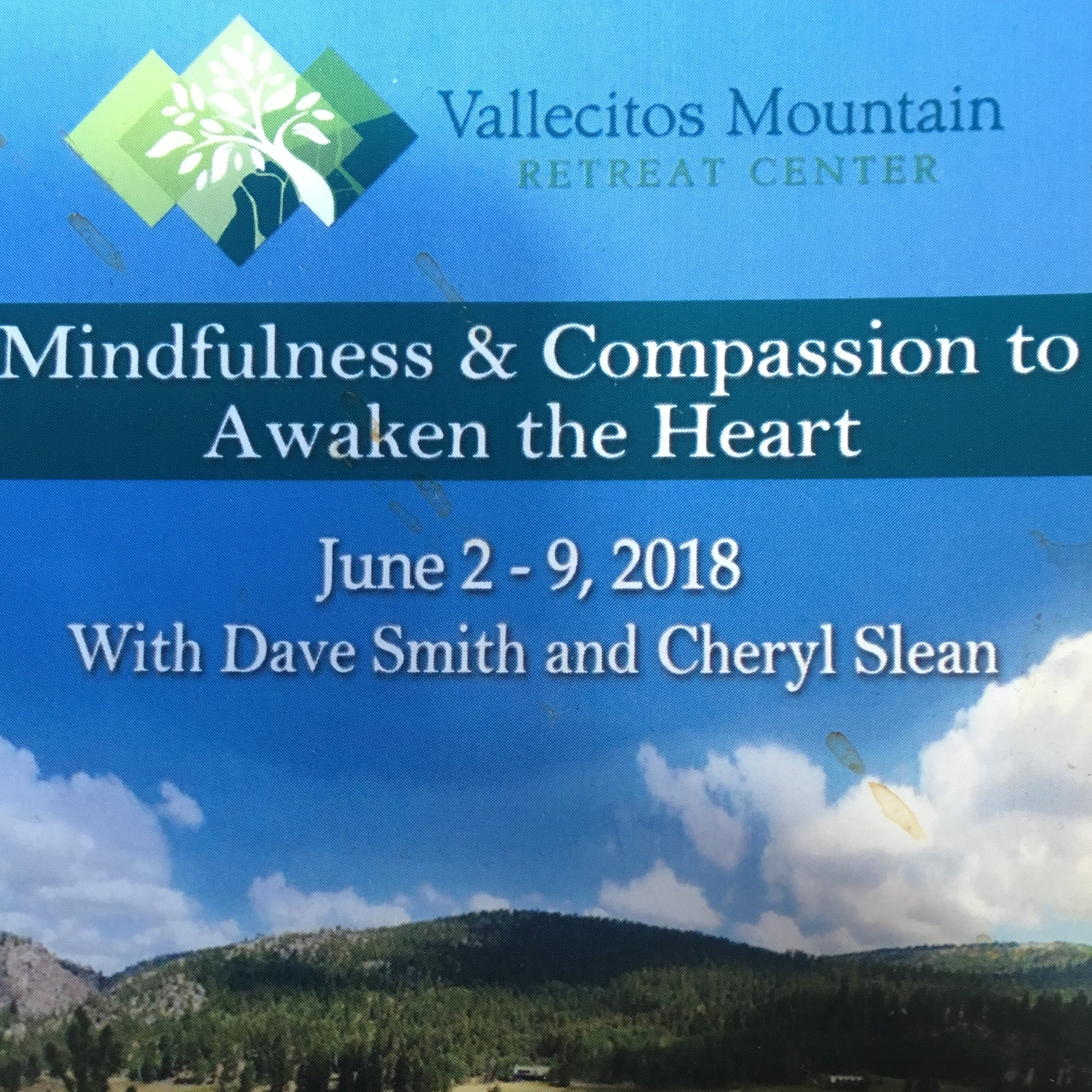 Metta Vipassana: smiling at the universe