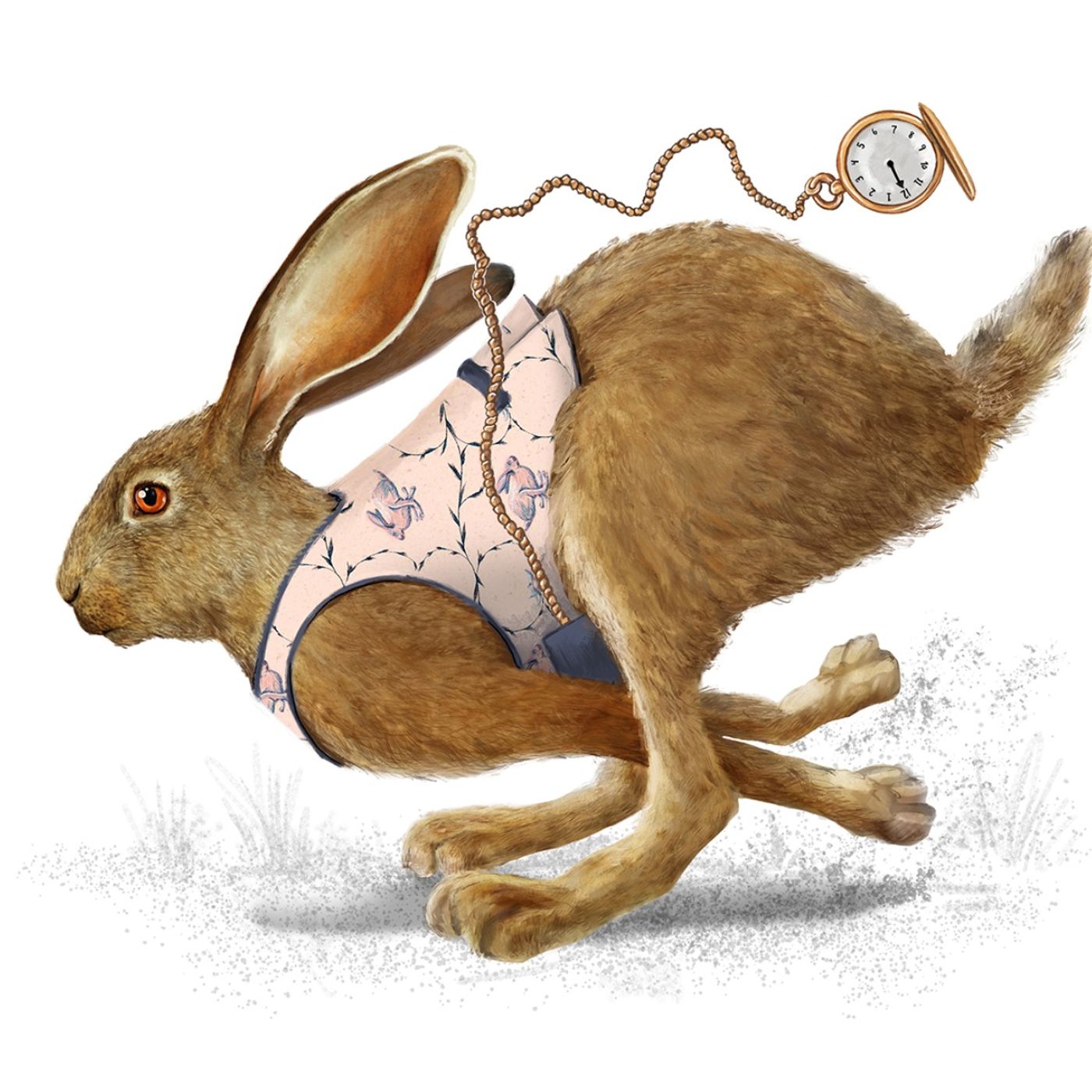 The World of Science Illustration with Mesa Schumacher